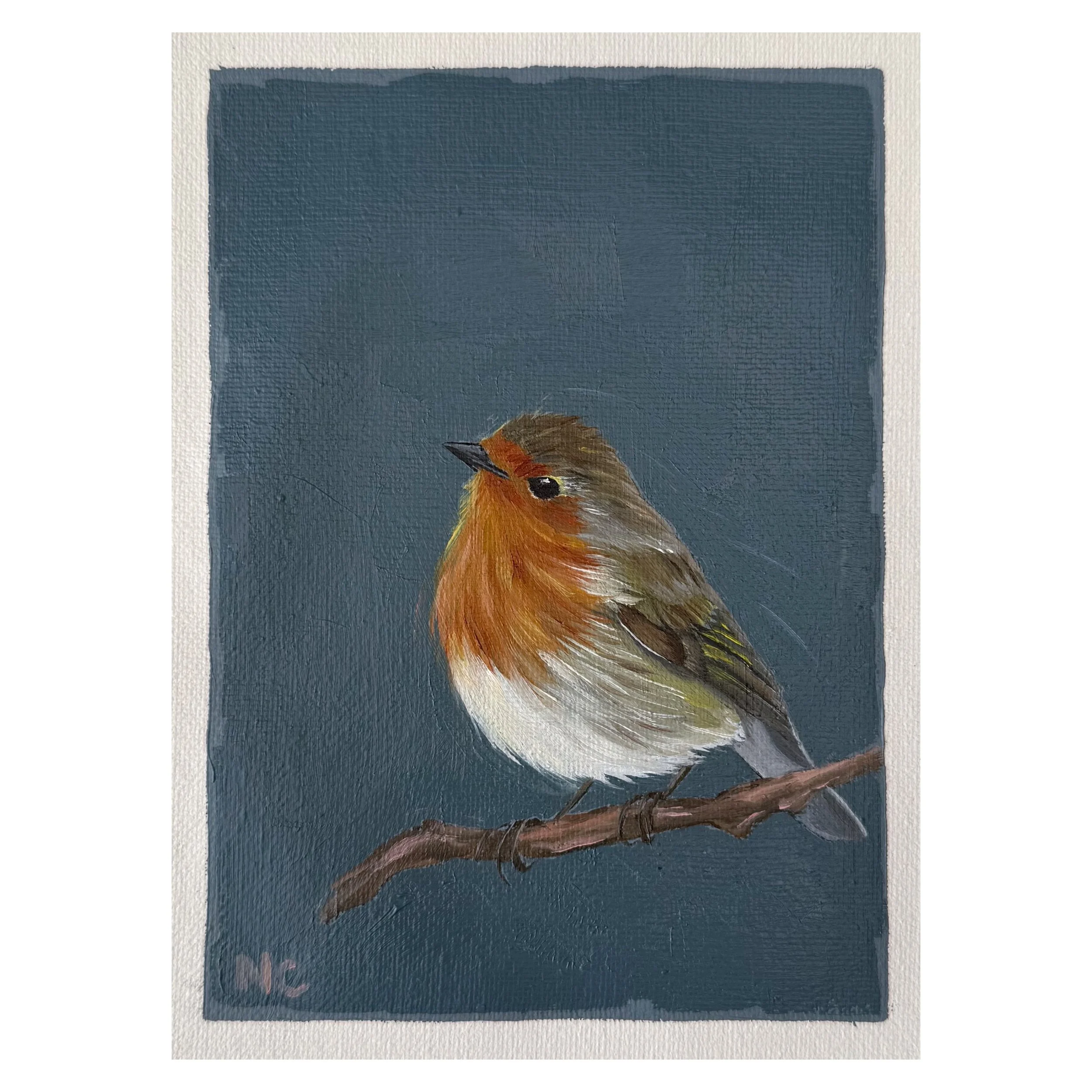 Navy robin