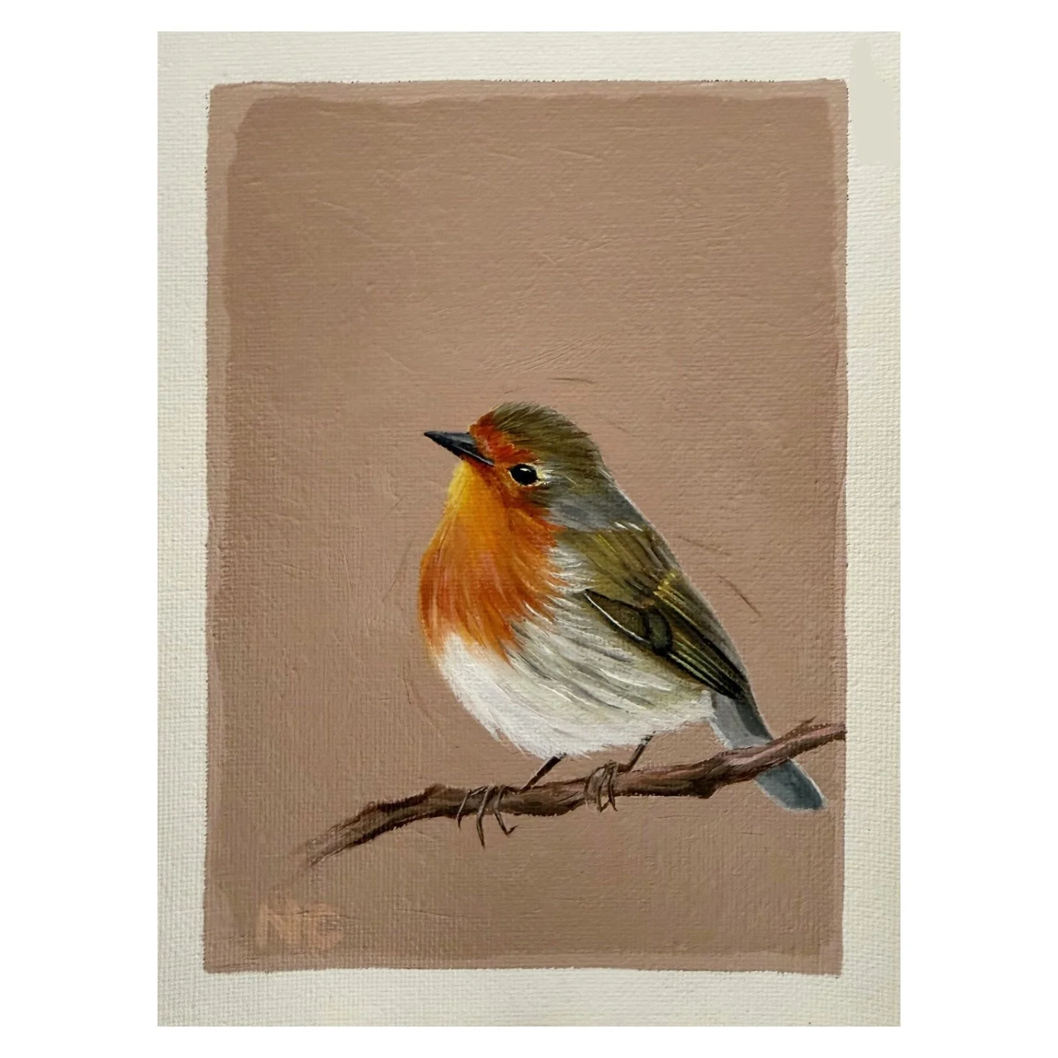 Pink robin