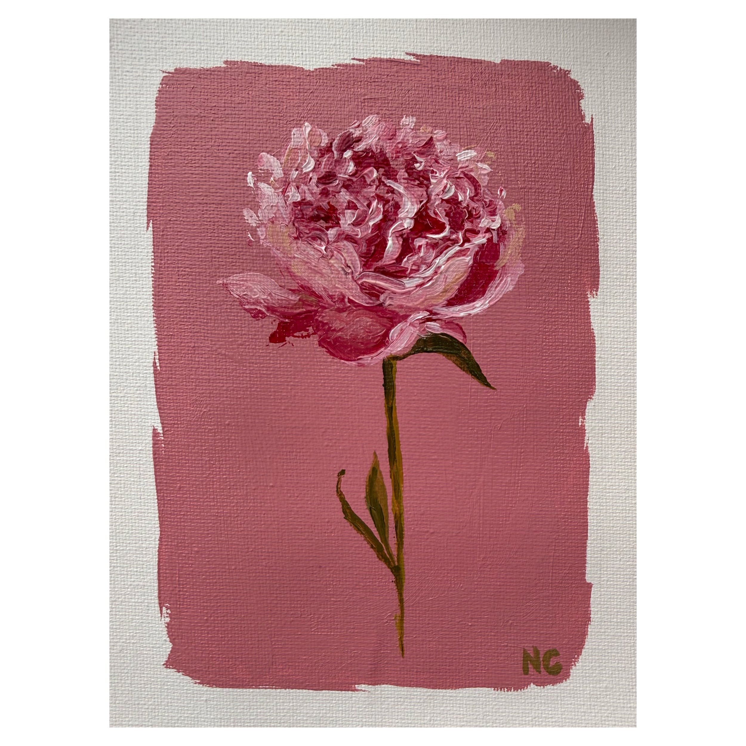Sorbet Peony