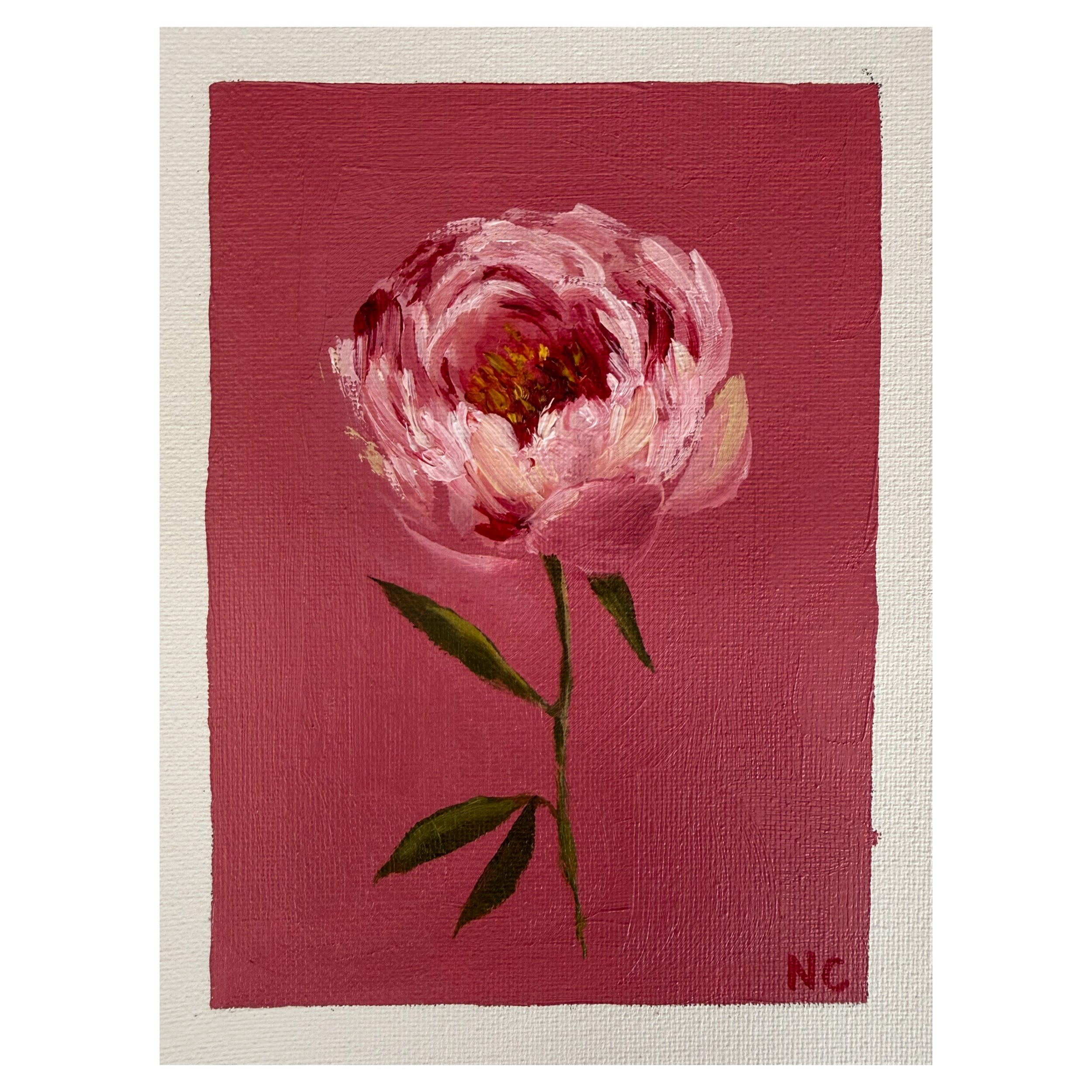 Bright Peony