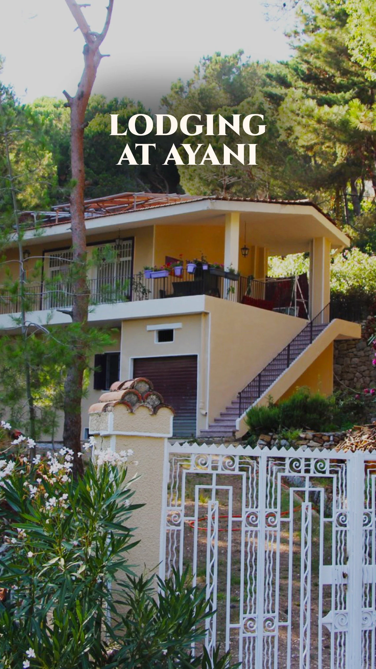 LODGING AT AYANI.jpeg