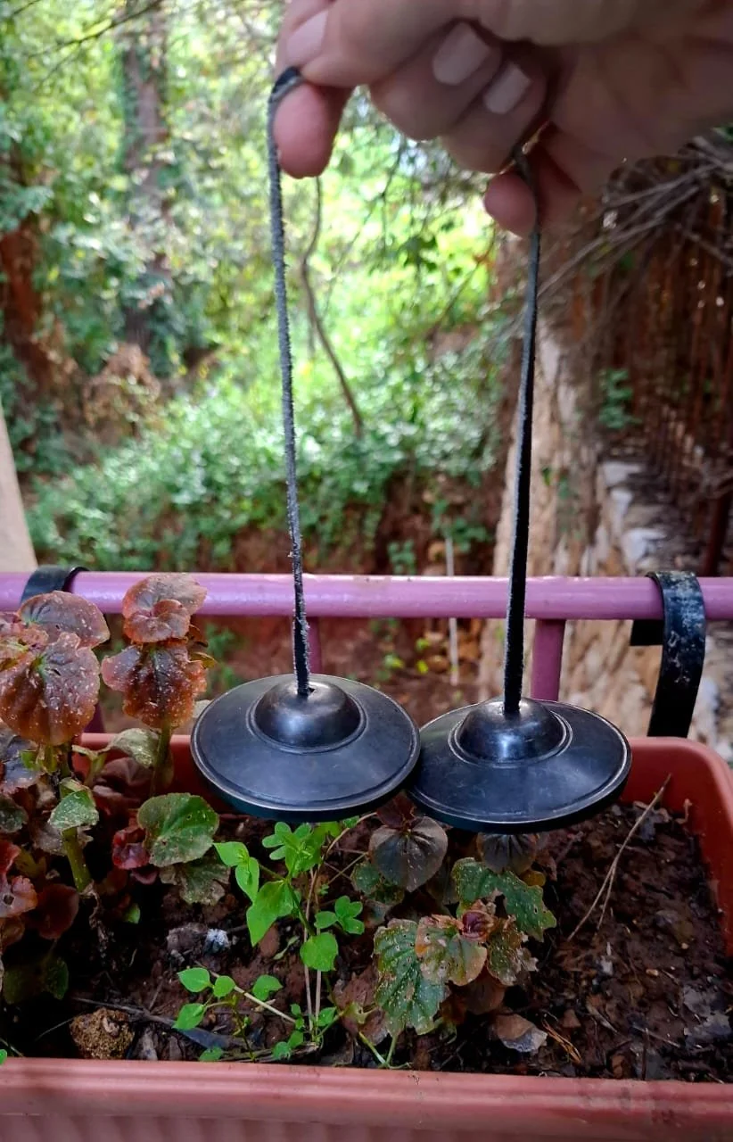 Tingsha Bell ayani.jpeg