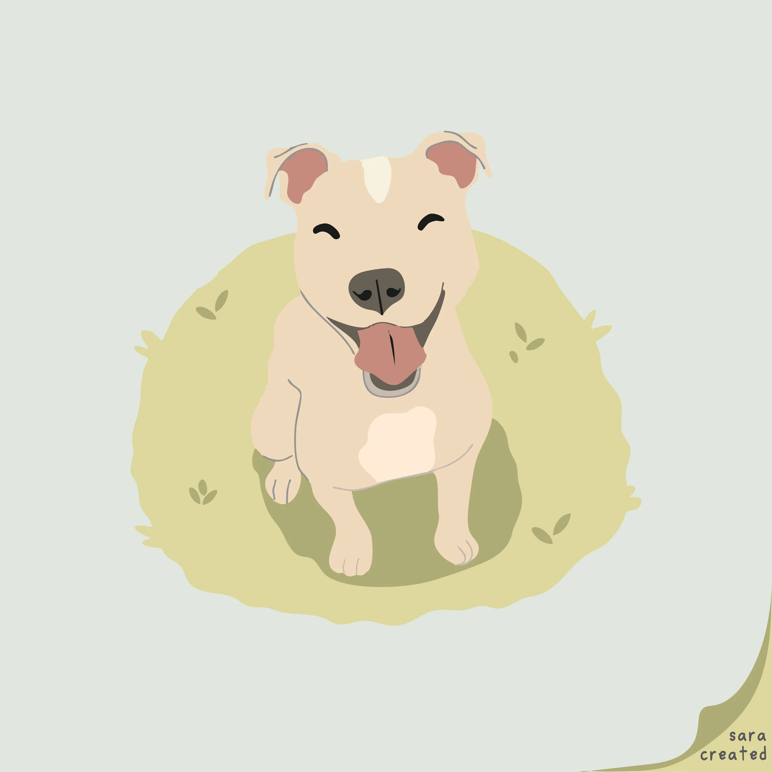 PetPortrait.jpg