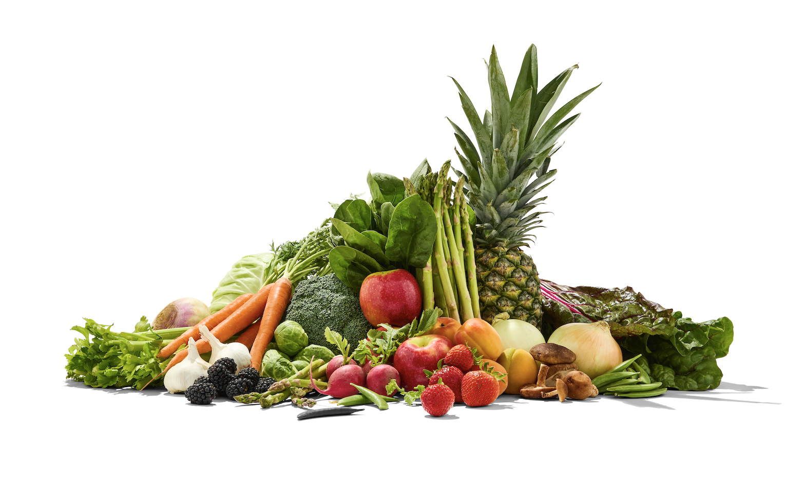 Screenshot 2026-02-03 at 10.11.19 AM.png