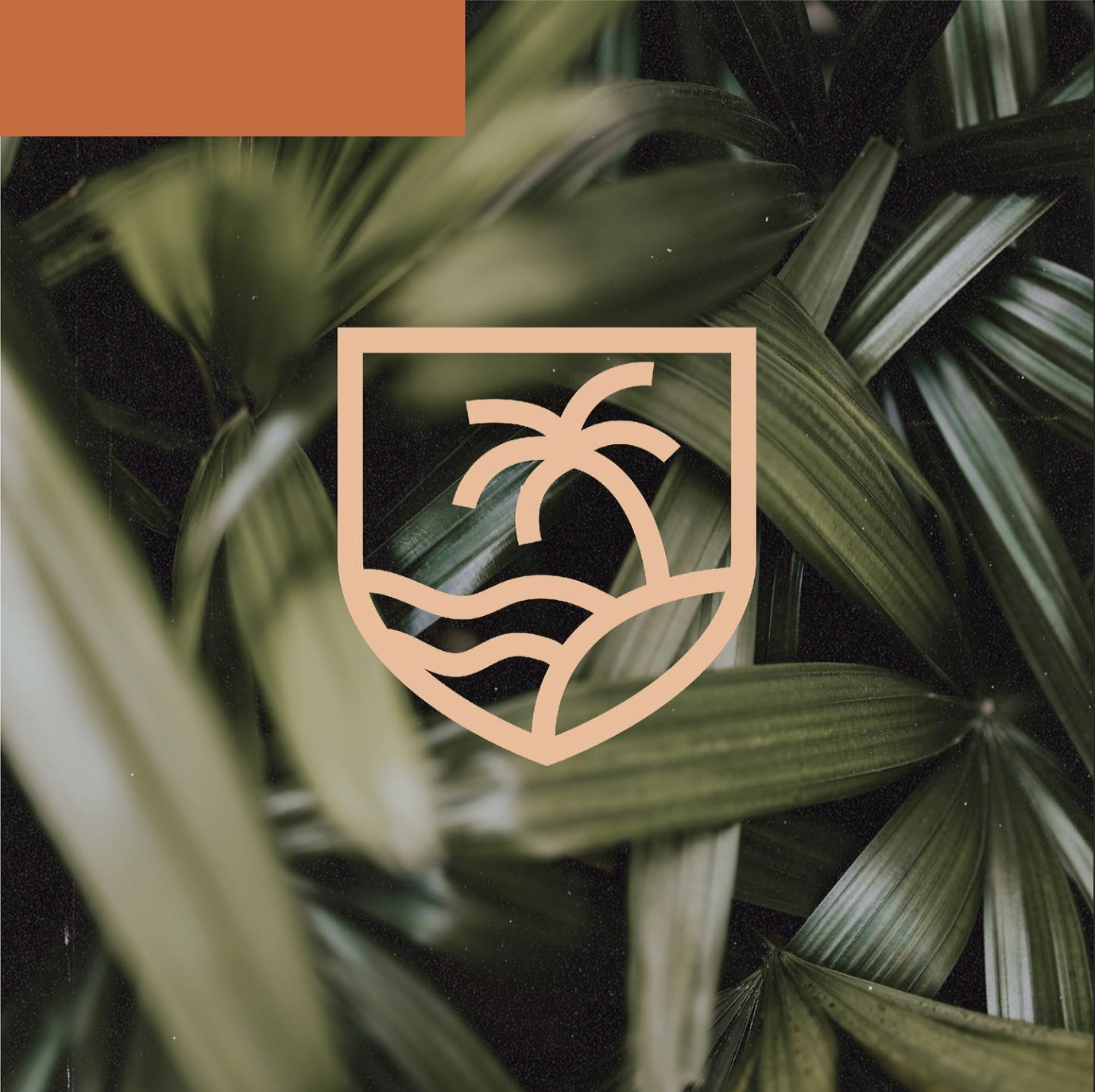 HubTampa-2.png