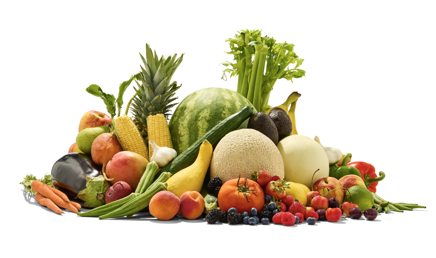 Screenshot 2026-02-03 at 10.12.45 AM.png