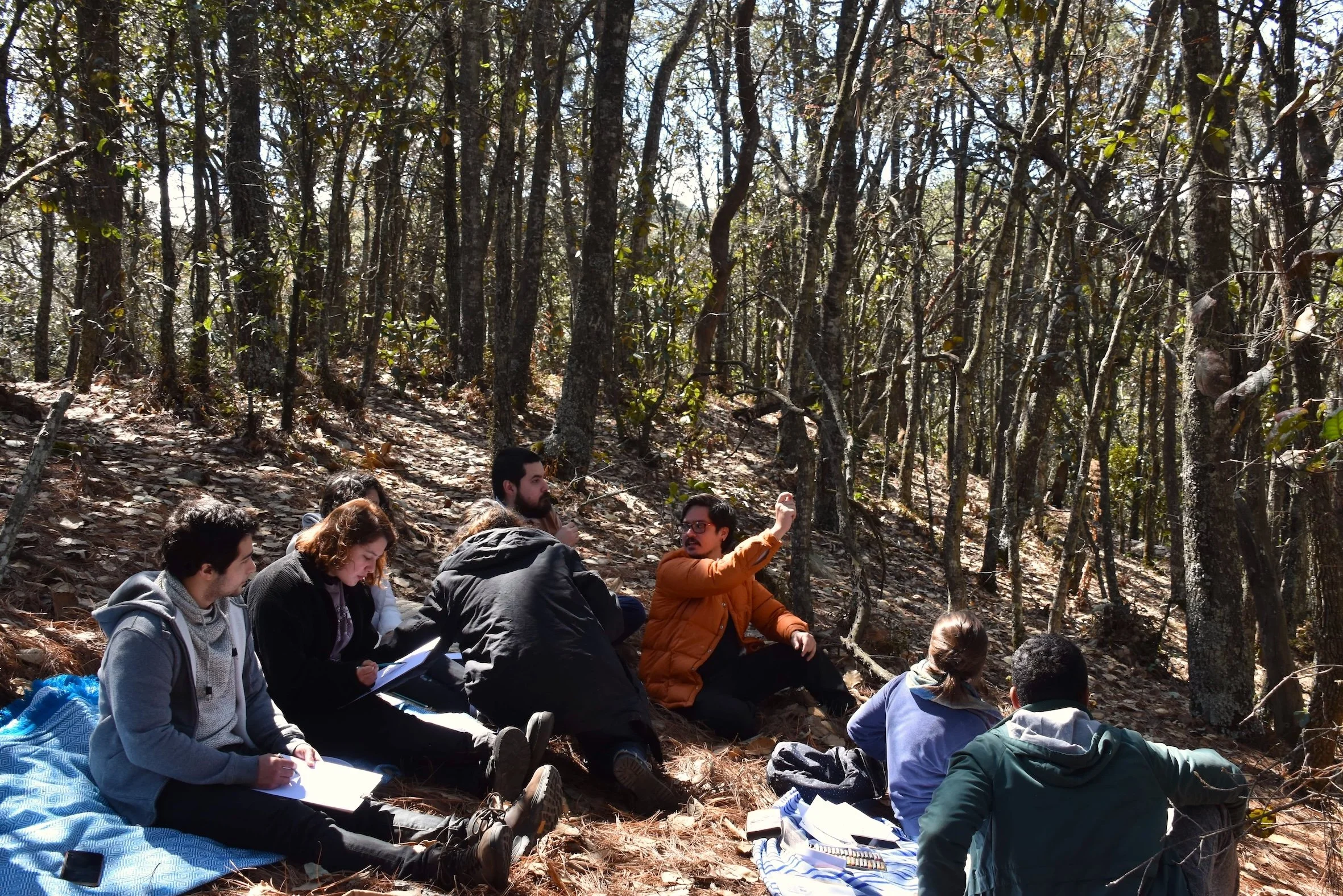 Personas compartiendo una experiencia en la naturaleza, sentadas en círculo en el bosque durante una actividad al aire libre