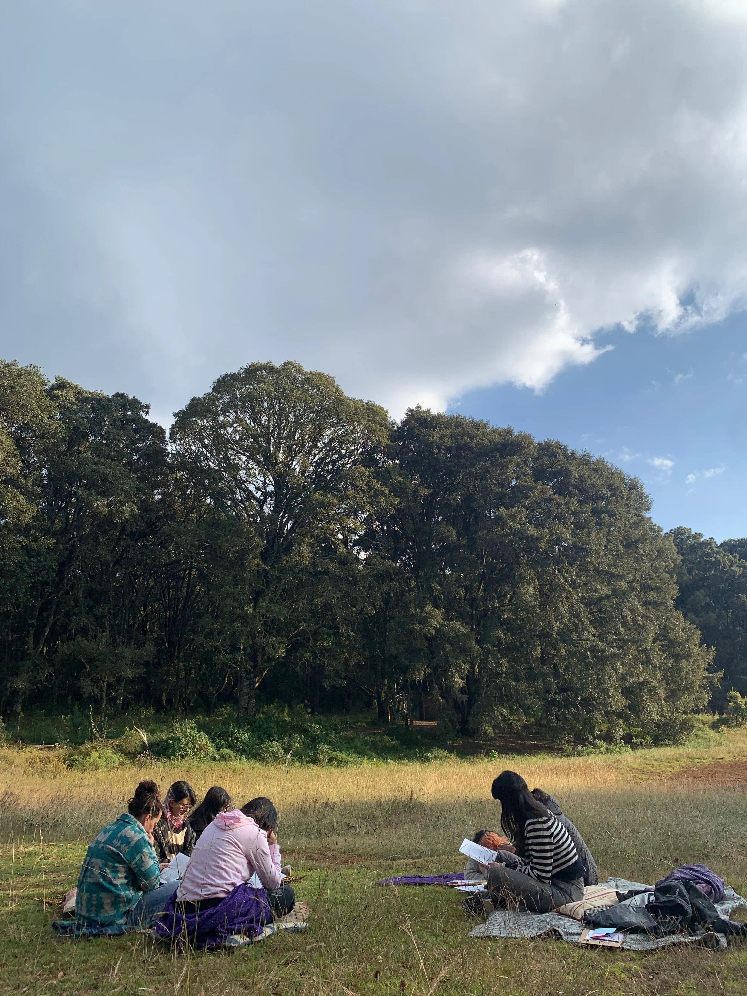actividades_mujeres_bosque_cerca _queretaro.jpg