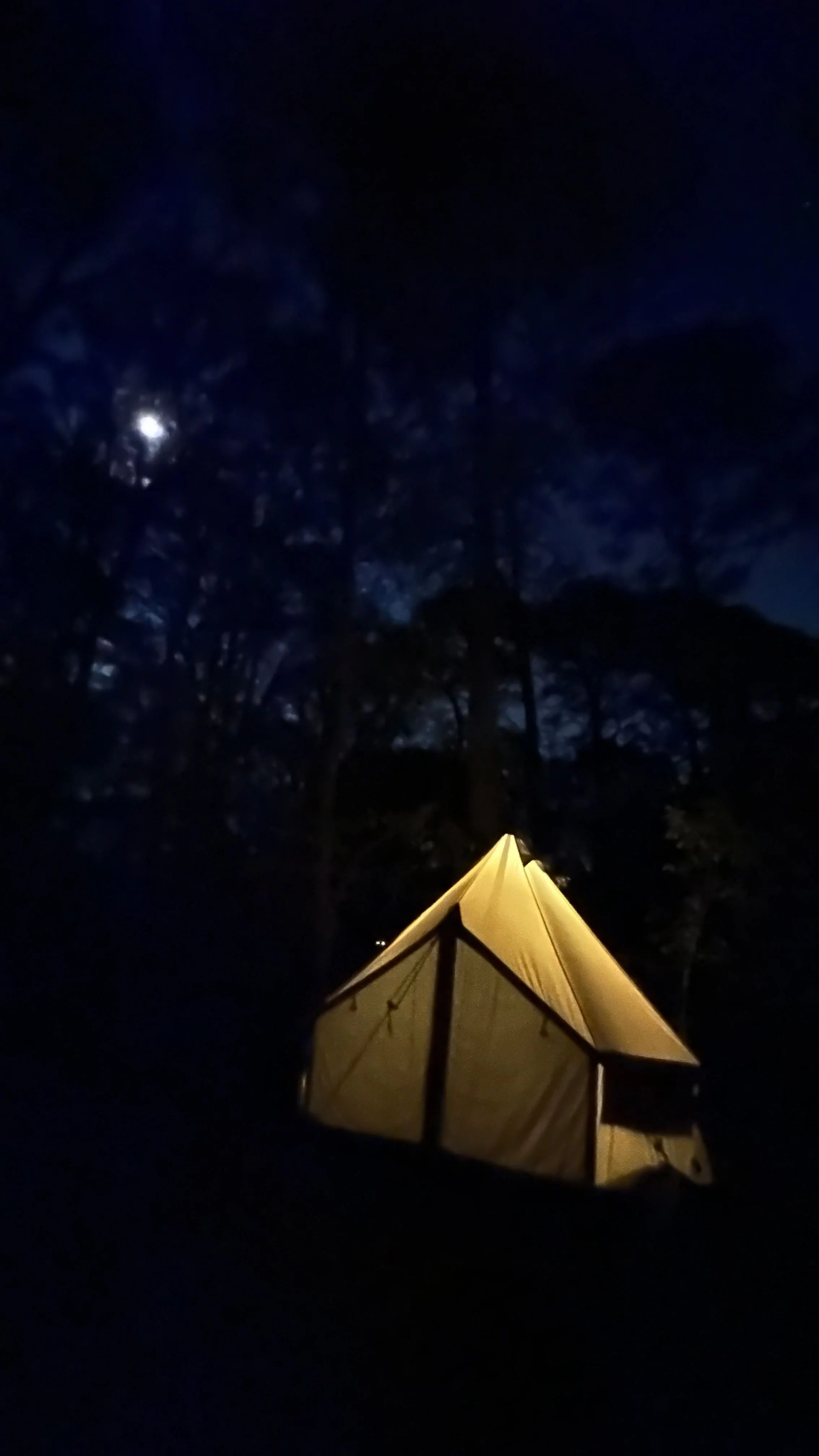 glamping_cerca_queretaro_bosque.jpg