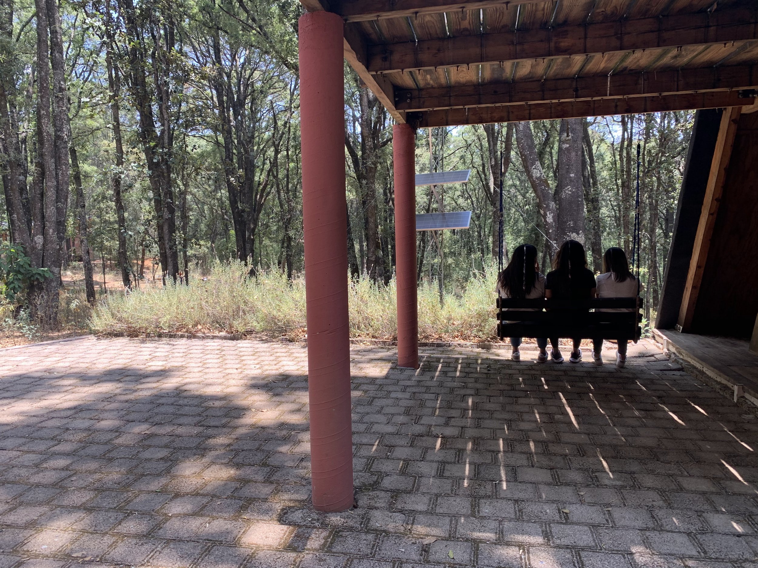 hospedaje_para mujeres_bosque.jpg