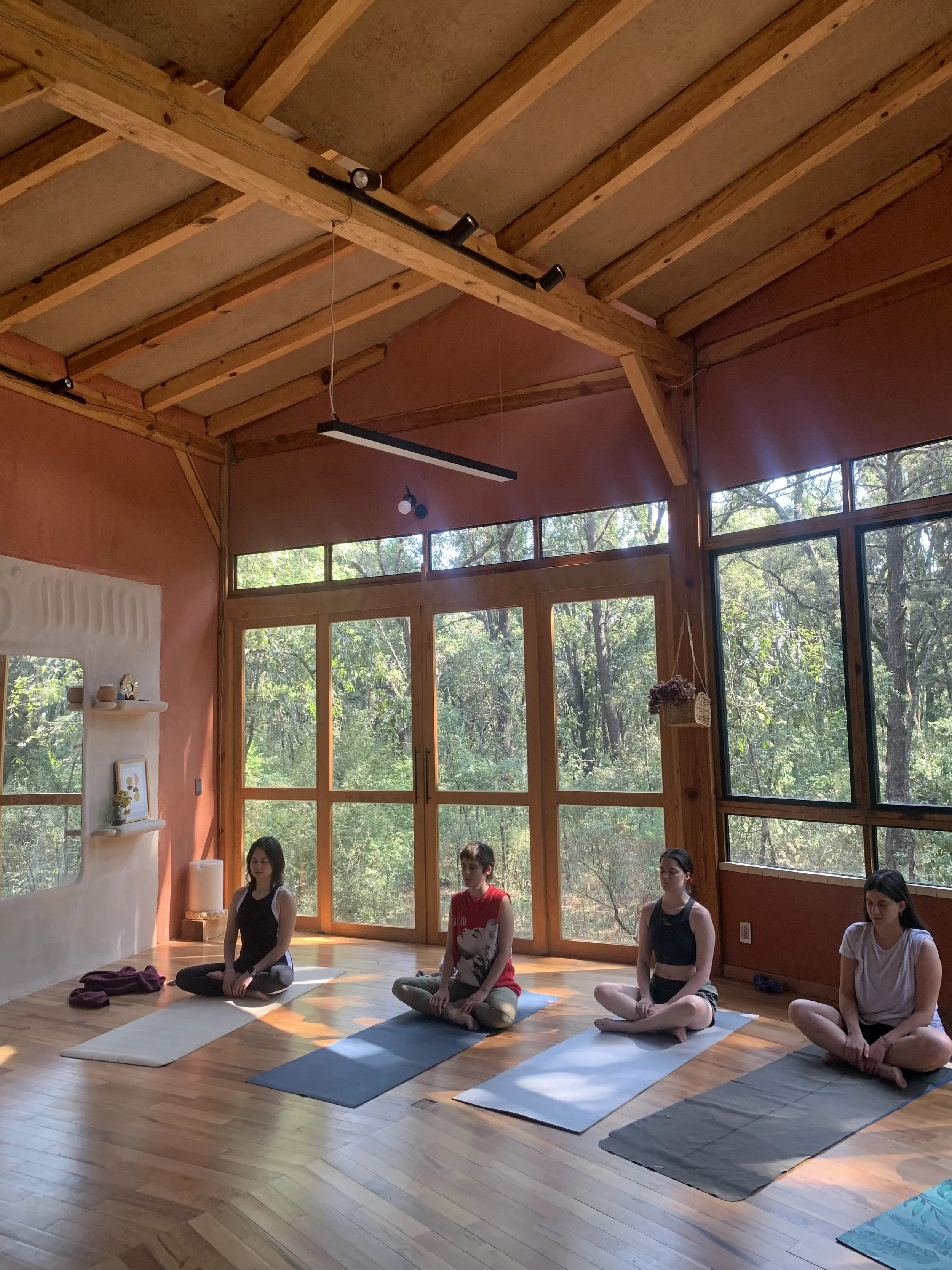retiro_yoga_bosque.jpg