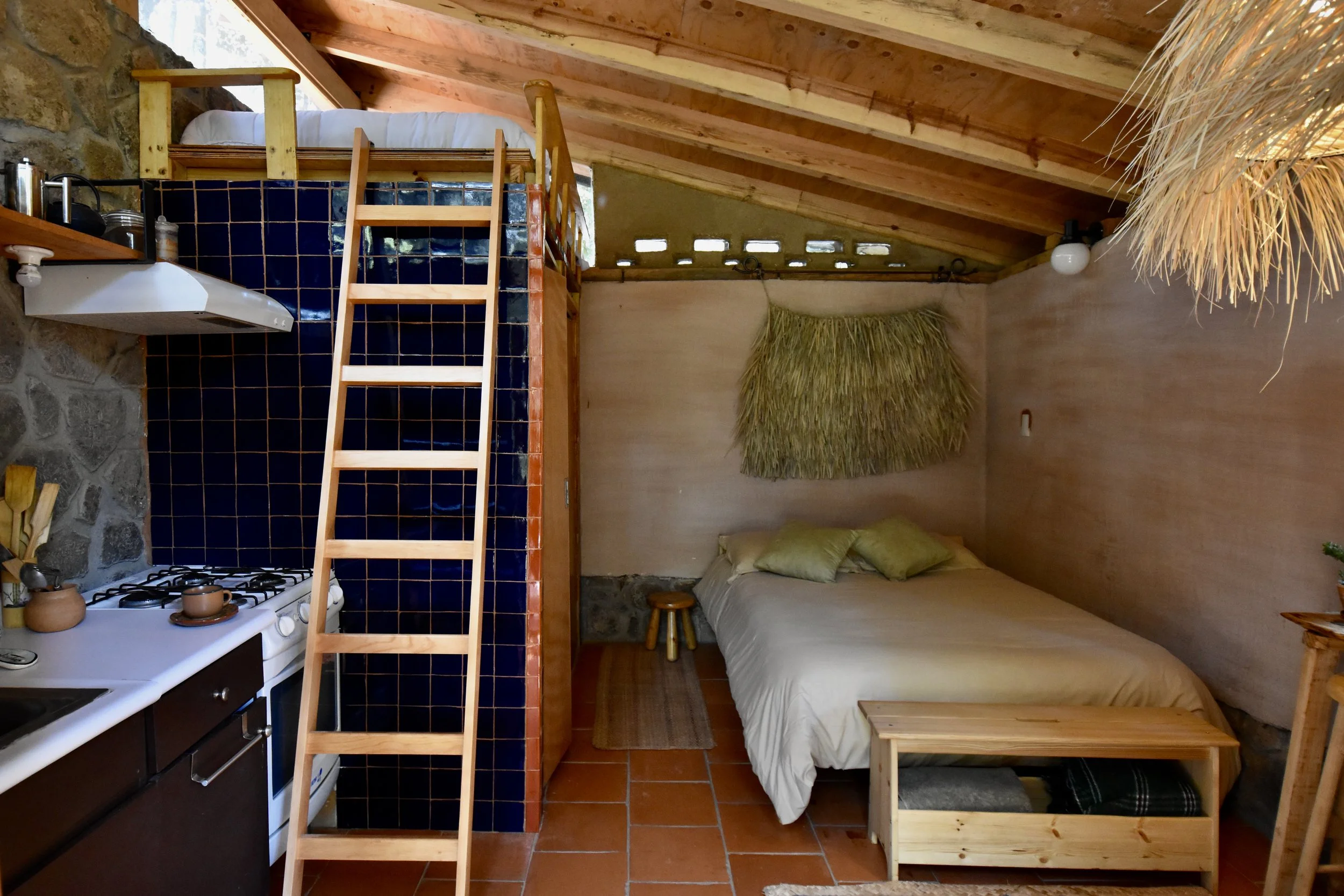 Encuentro “Cosechar para Sembrar” + HOSPEDAJE EN BUNGALOW