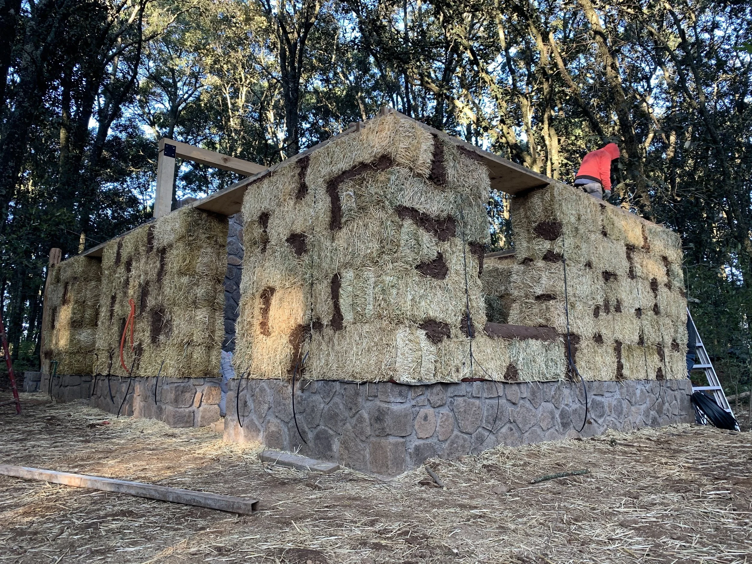 Construcción de una casa de paja y piedra en el bosque, ejemplo de bioconstrucción y arquitectura sustentable en armonía con la ecologia.