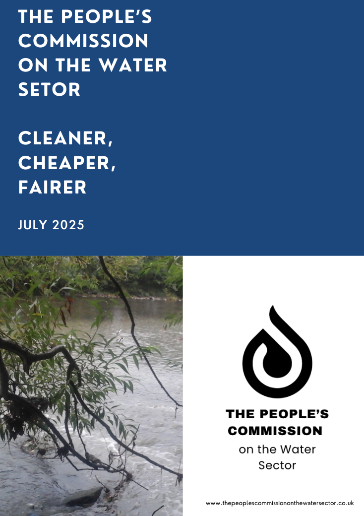 The People's Commission on the Water Sector