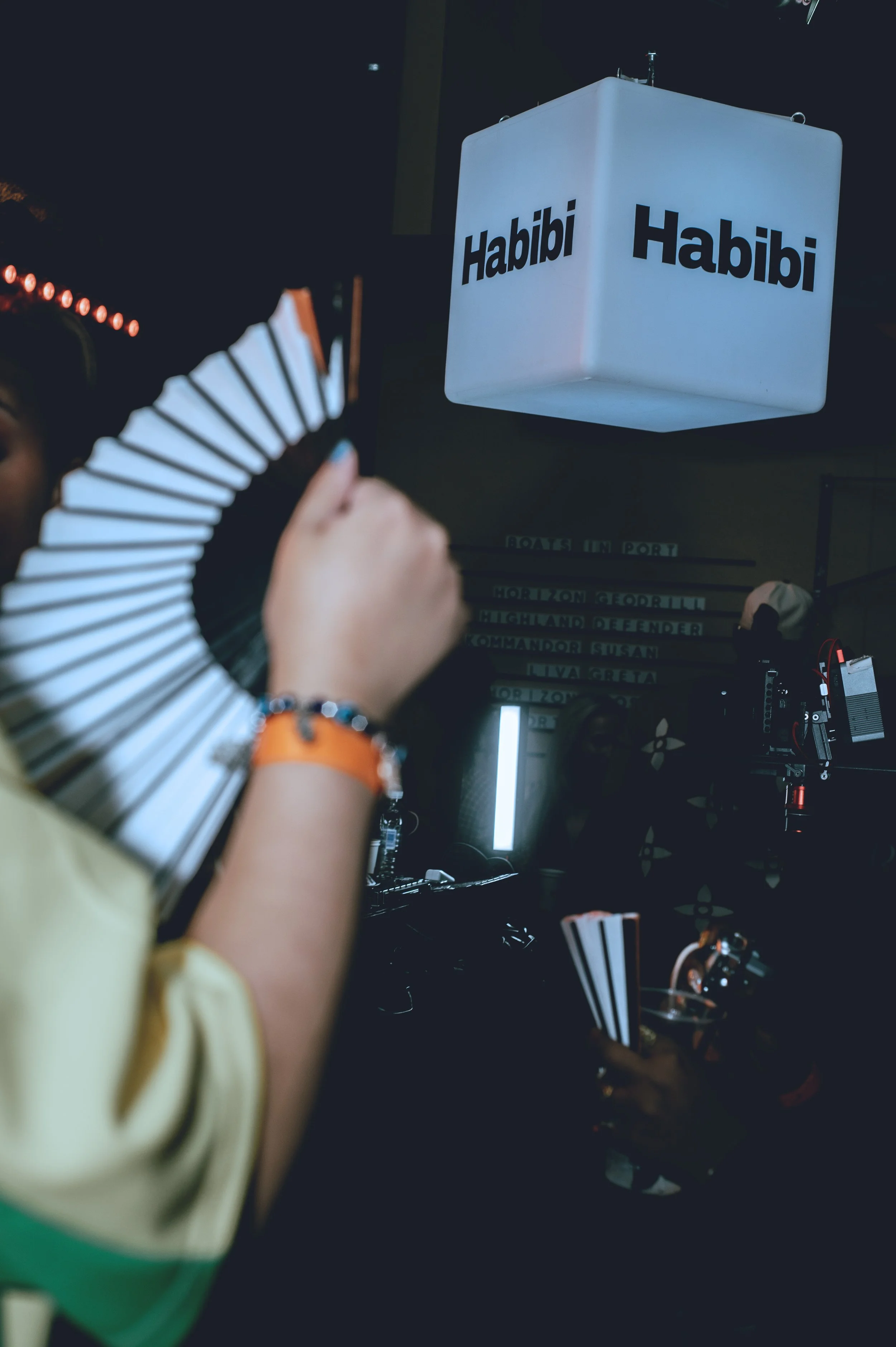 Nathinze_habibi_54.jpg