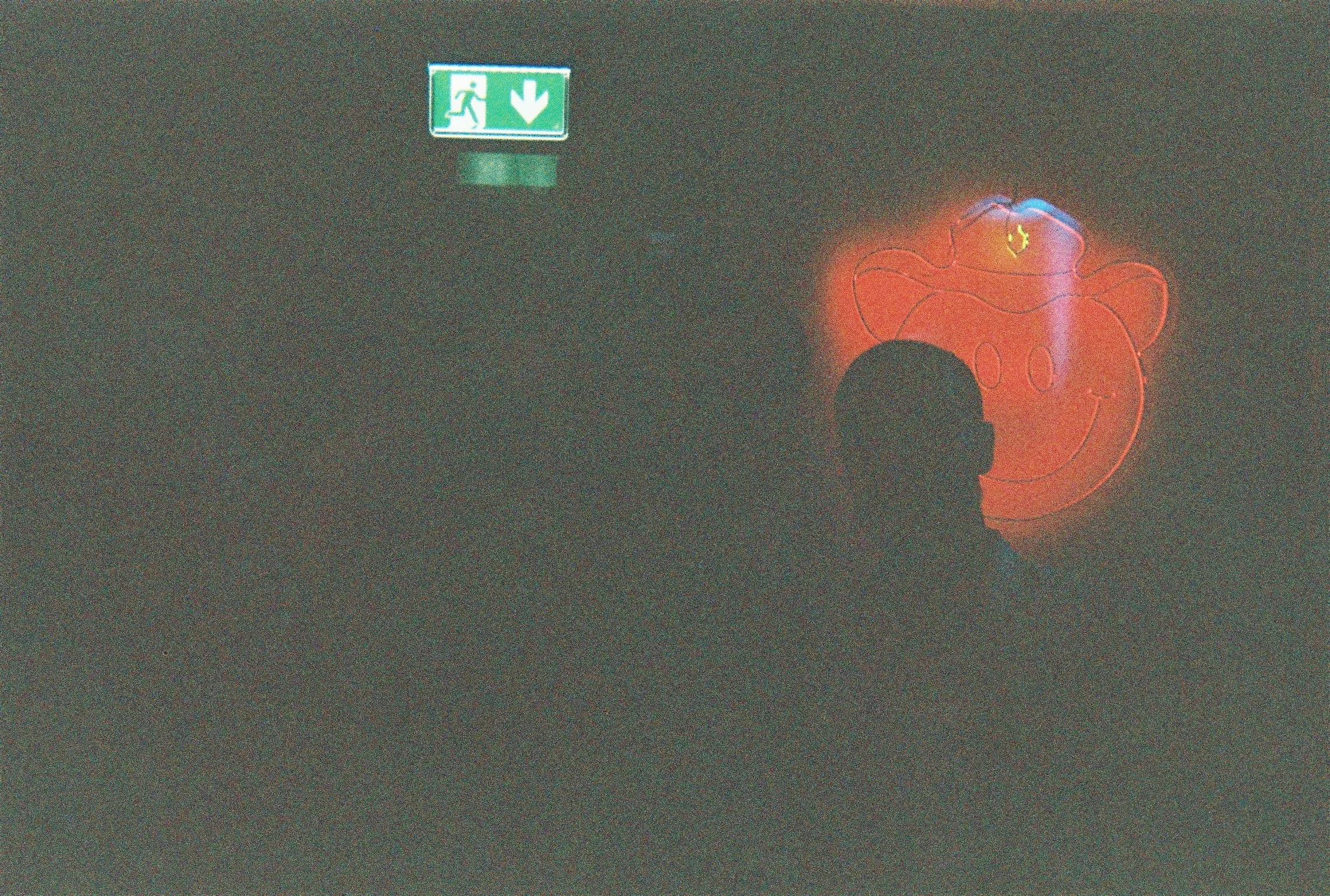 A0A3882-R1-00-1.JPG