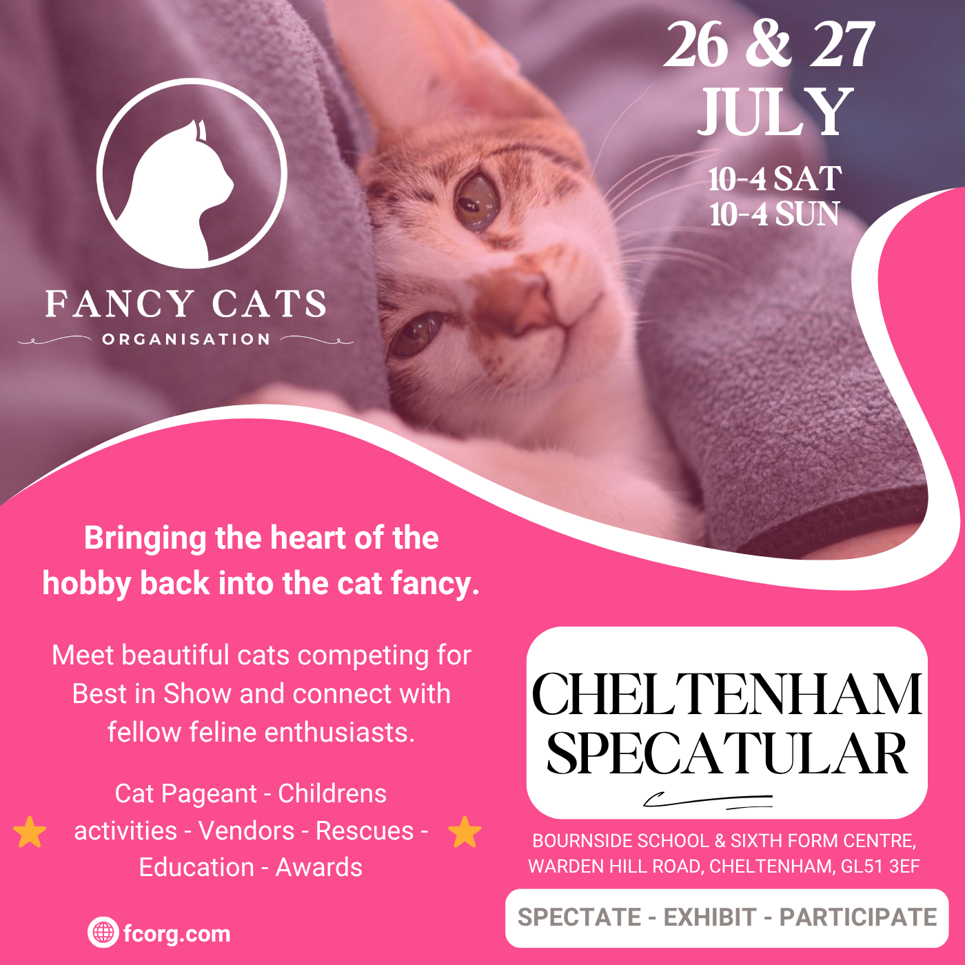 Cheltenham SpeCATular
