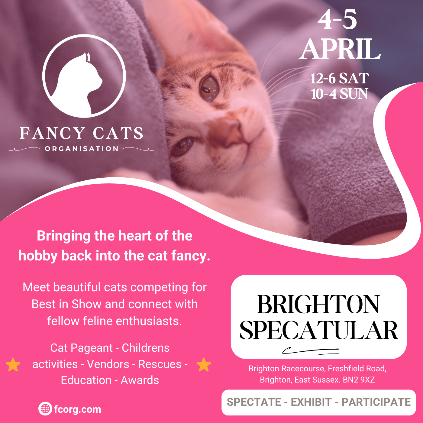 Brighton SpeCATular