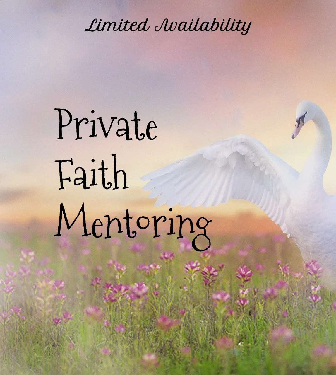 Promise Mentoring--One Call