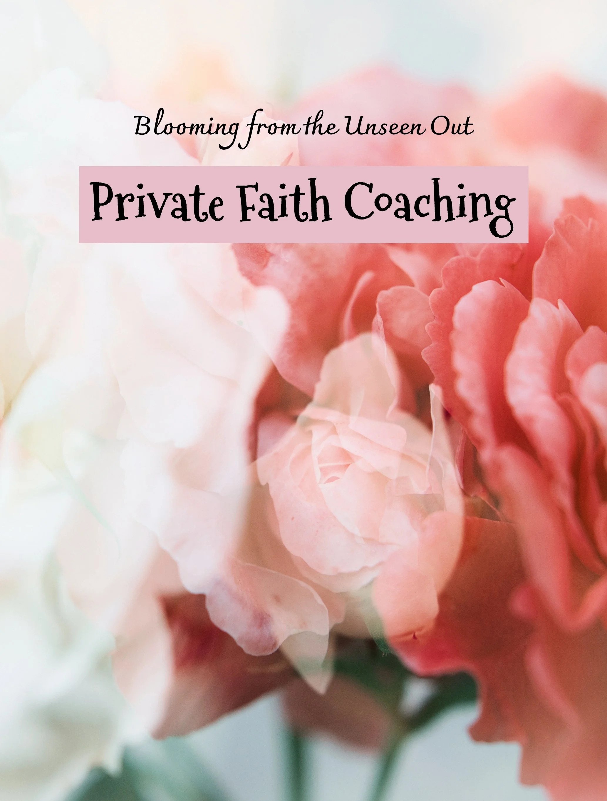 Private Faith Coaching - One Month