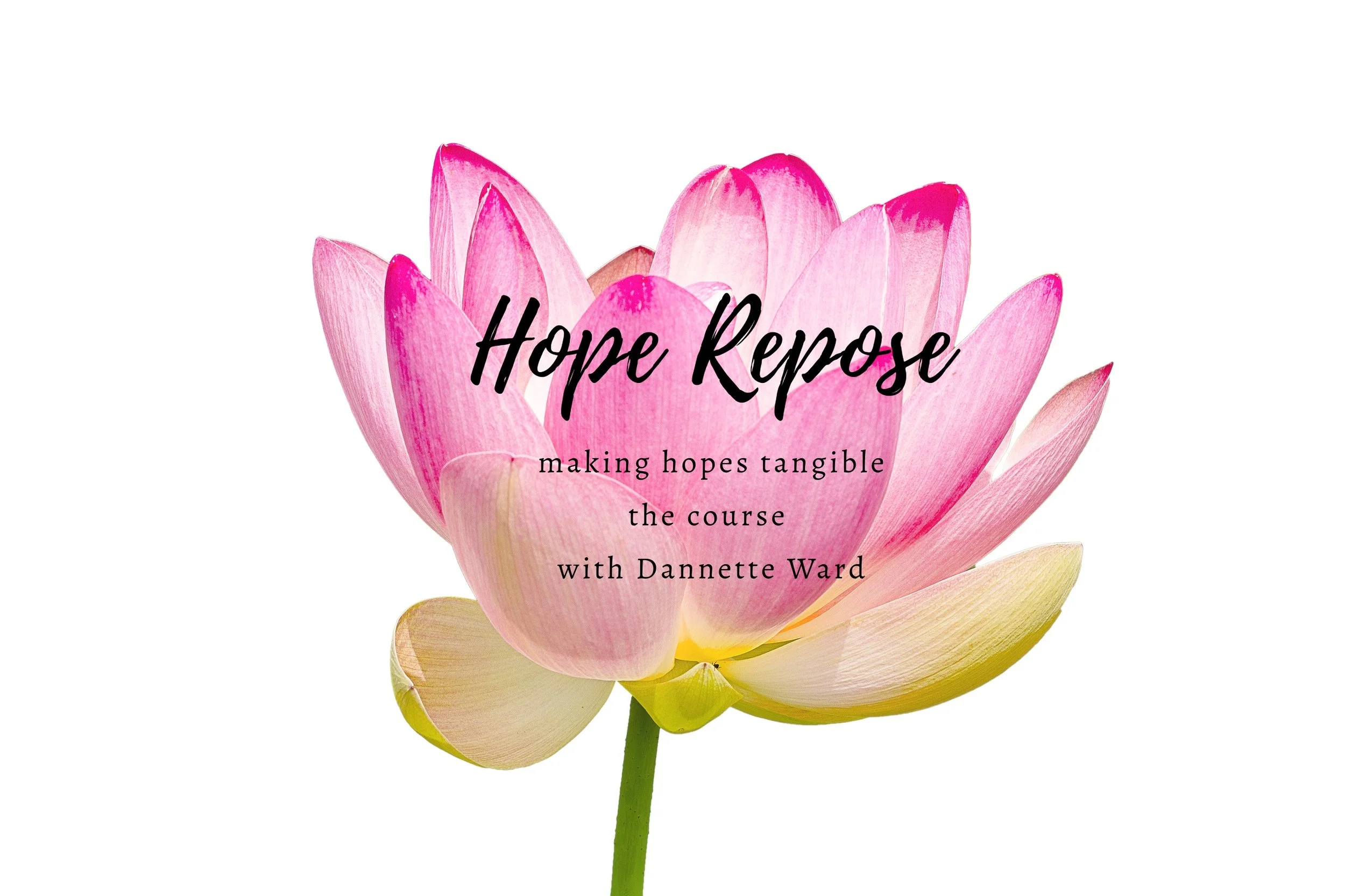 Hope Repose Course--Seeing Hopes Come True