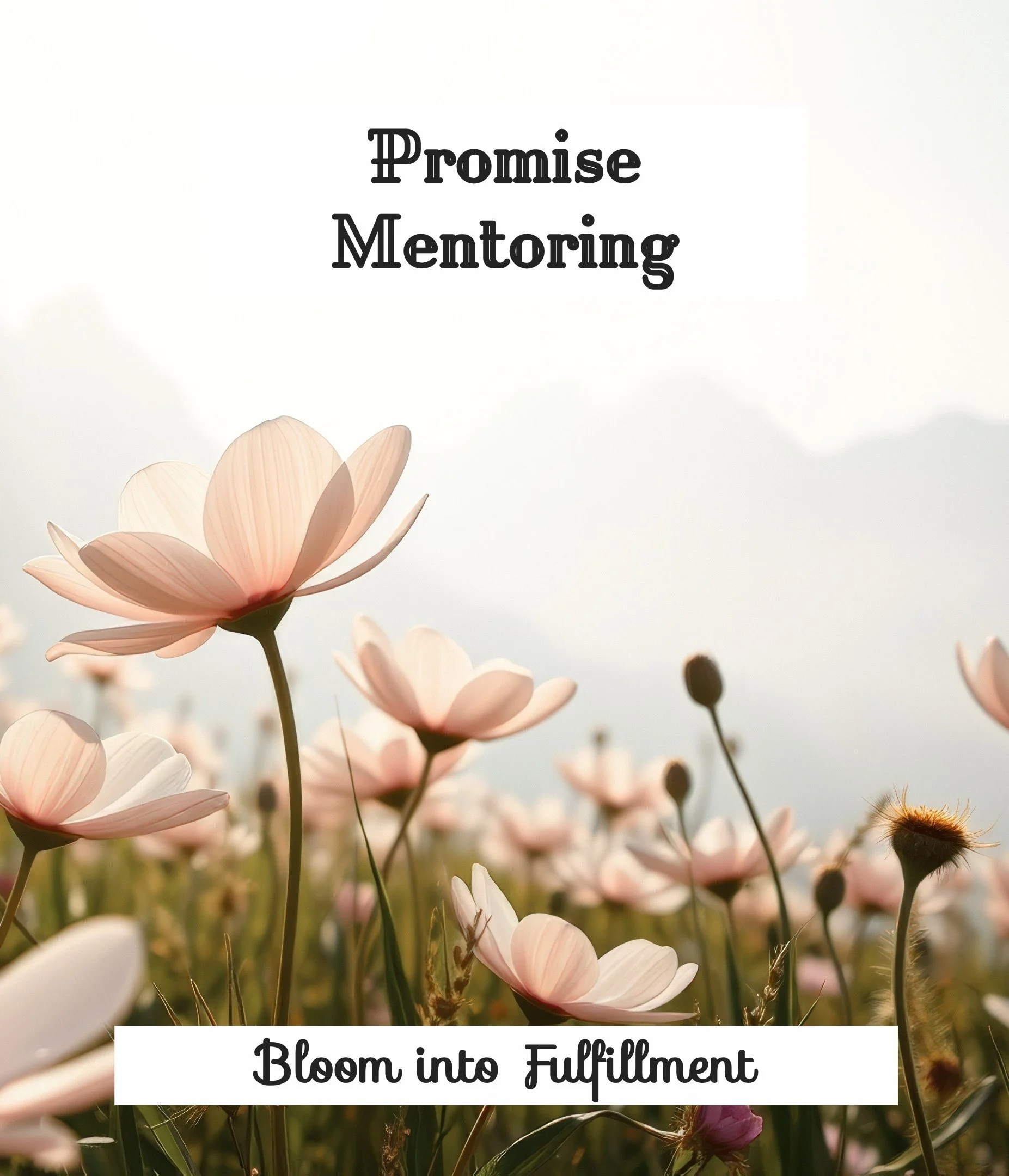 Promise Mentoring