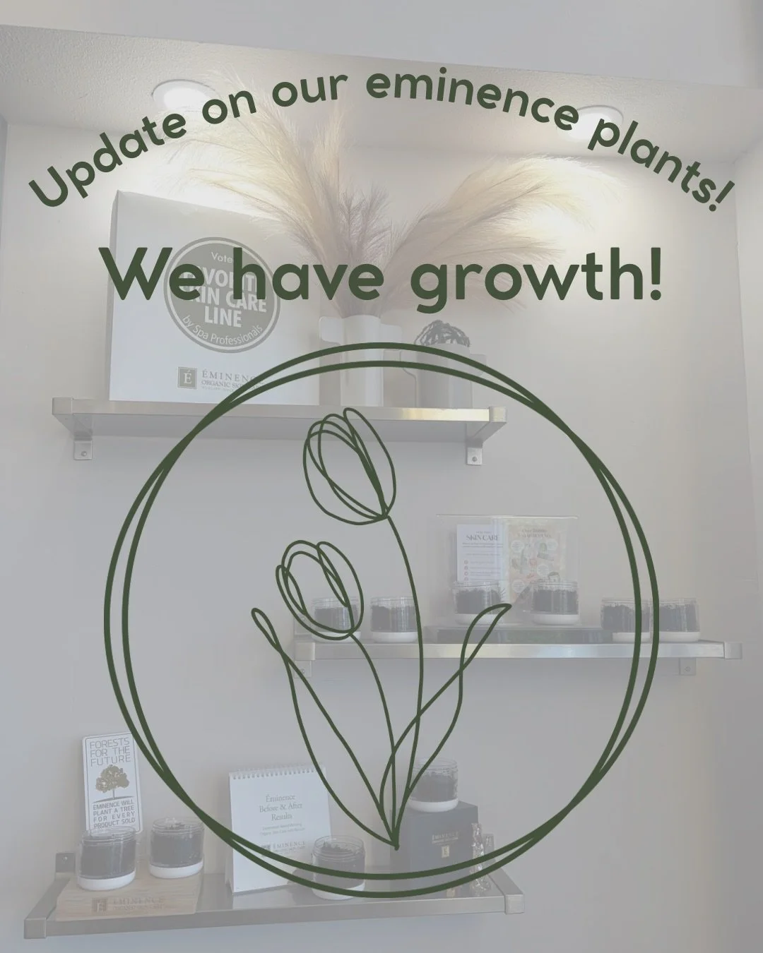 Spring has sprung and so has our eminence sprouts!
#fousheesalonspa #eminenceorganicskincare