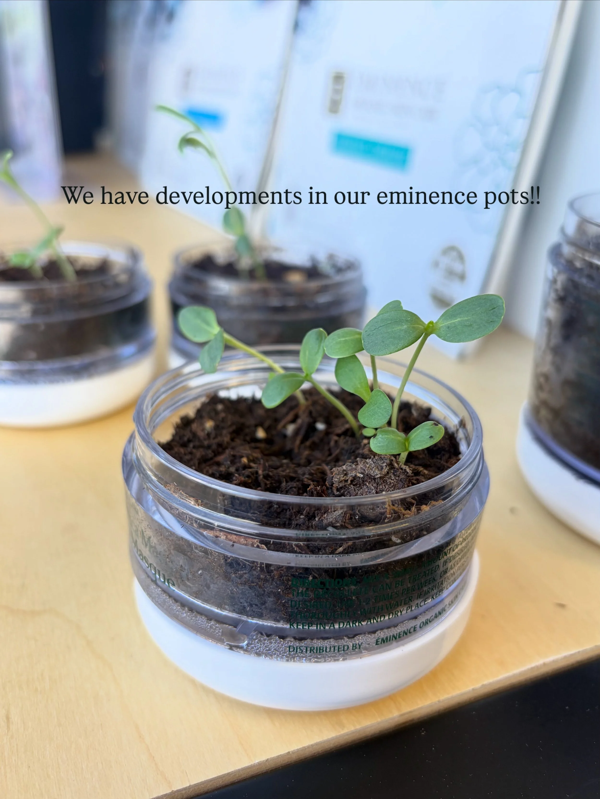 The pots are continuing to grow!!
#eminenceorganicskincare #salonfoushee