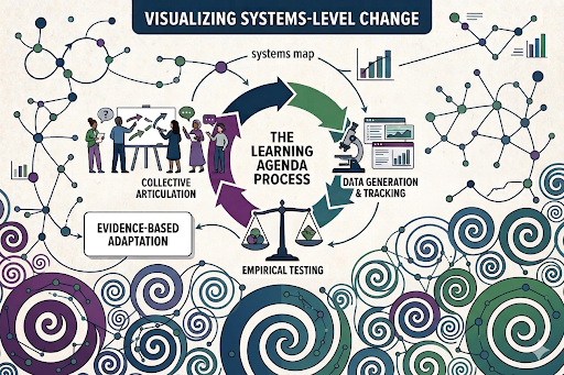 Images of the components of a democratic system