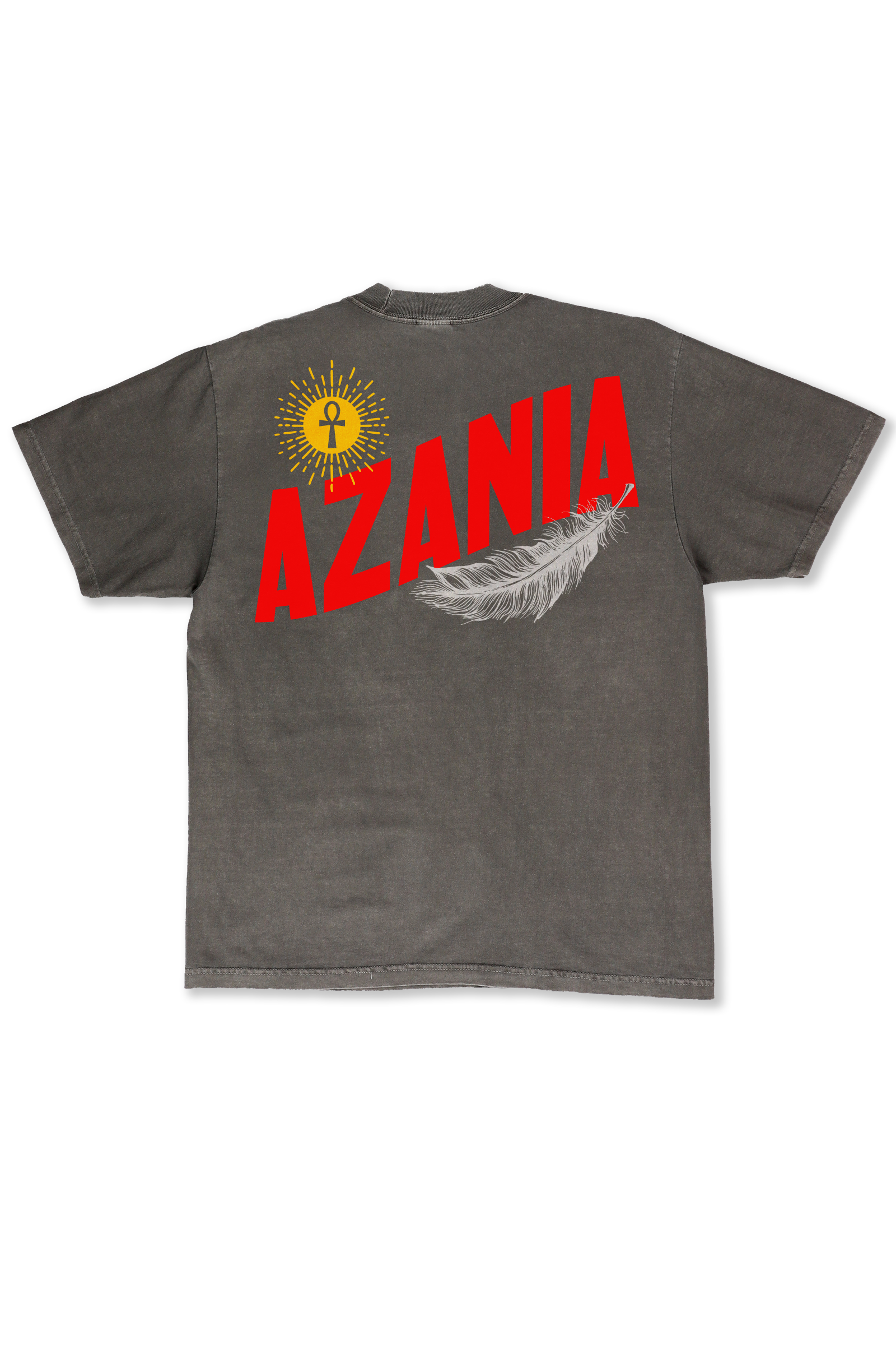 AZ-T-shirt 3 AZANIA BACK GRAY.png