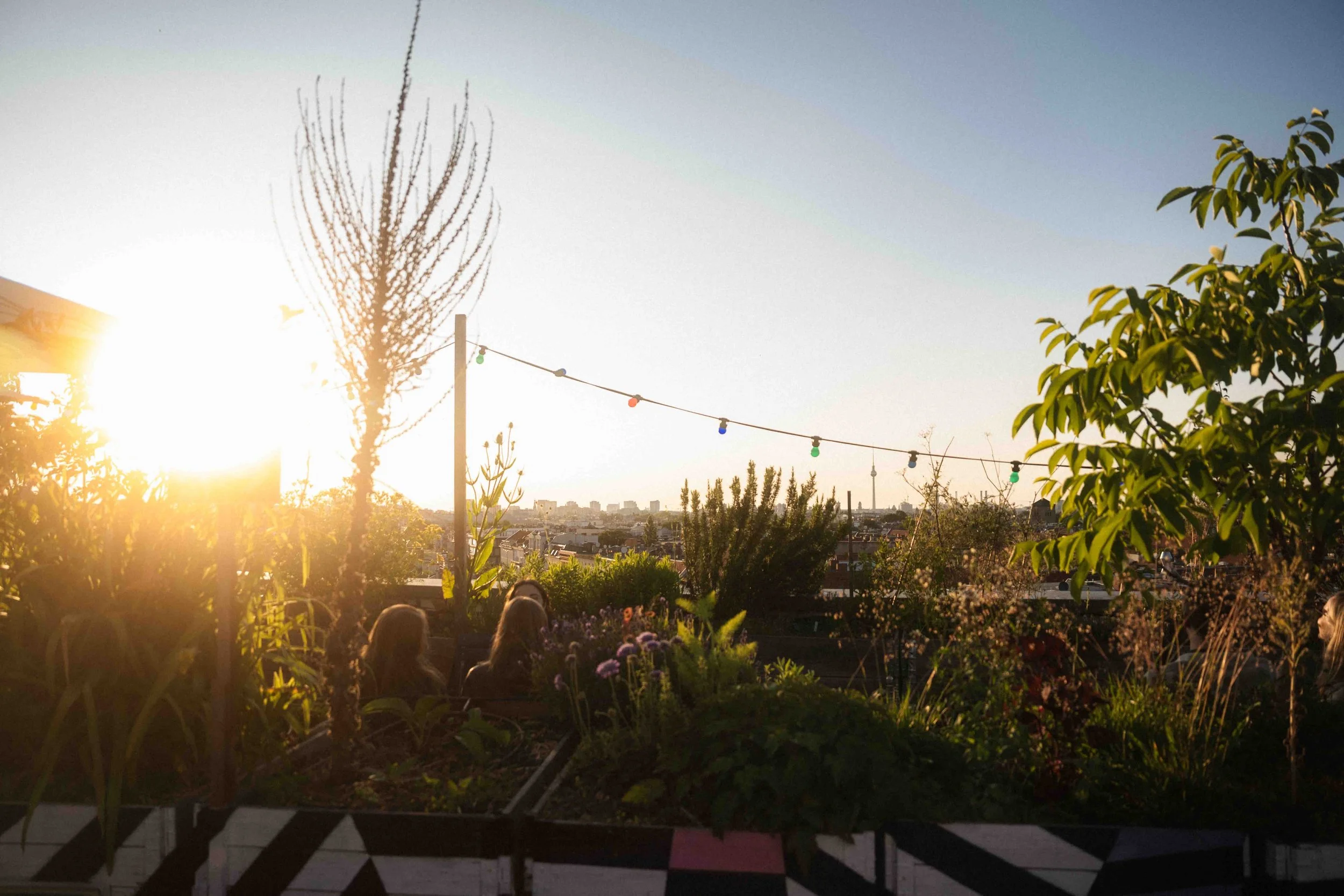 Rooftop Hospitality Gastro Food Drinks Business Hotel Restaurant Events Berlin Deutschland Nadine Schönfeld Photography