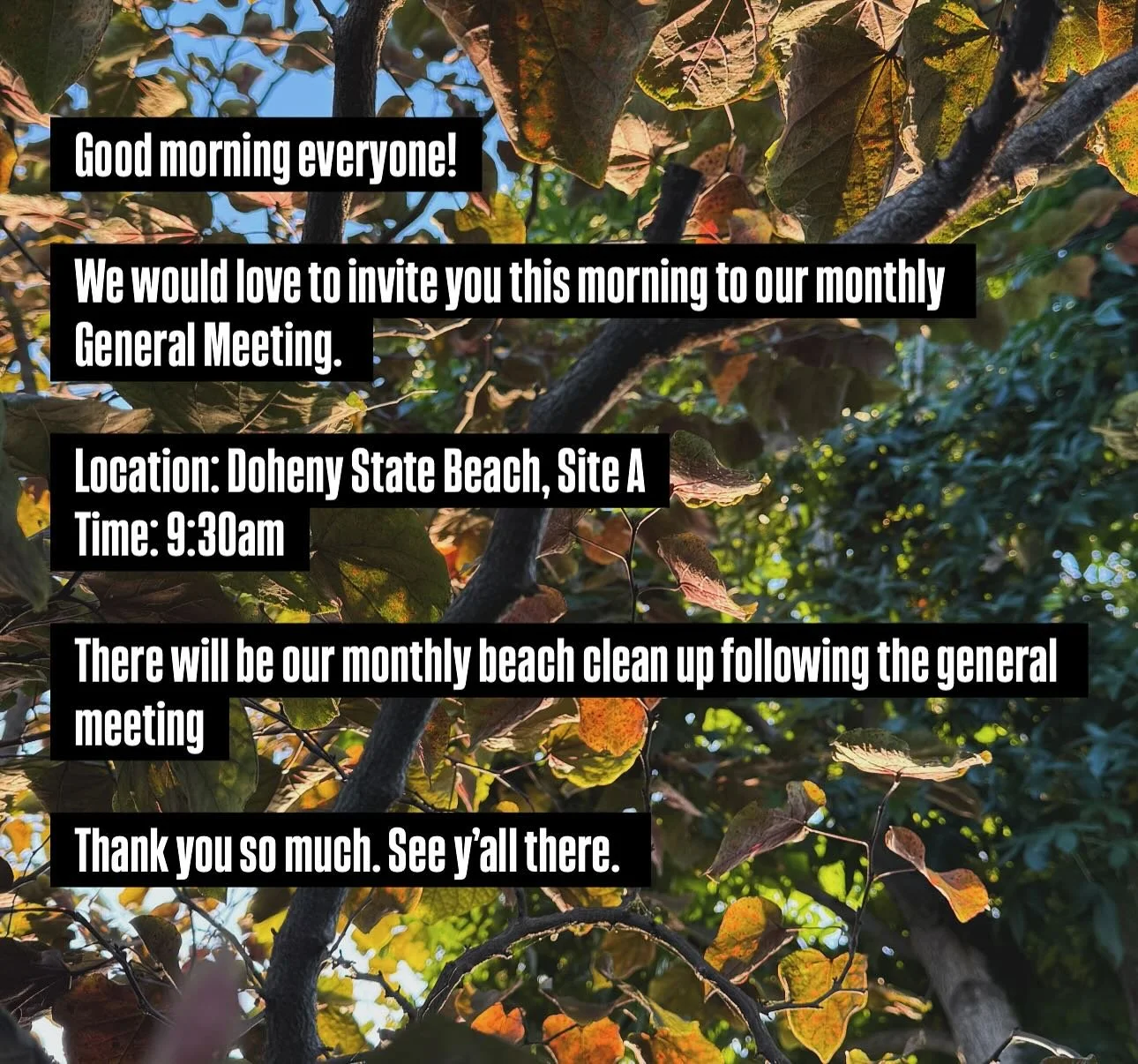 Good morning everyone. 
October’s monthly general meeting is here. 
We’ll see you all at 9:30am at Doheny State Beach, Site A. There will be coffee and bagels at the meeting. We look forward to seeing y’all there. 
Also don&rsquo