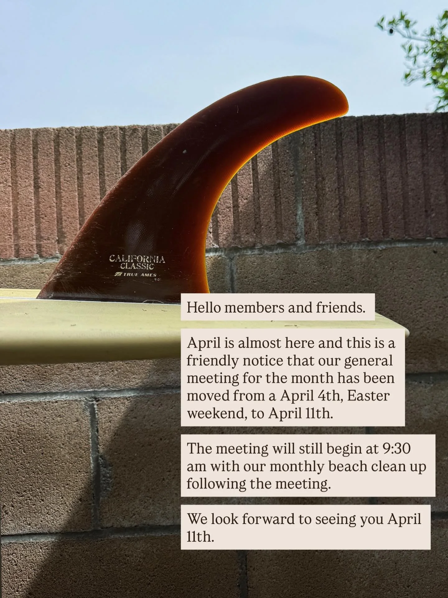 Hello members and friends. 

We wanted to stop by and wish you all a happy spring and share with you that our April general meeting has been moved from April 4th to April 11th.

Start time will still be at 9:30 am with our monthly beach clean up foll