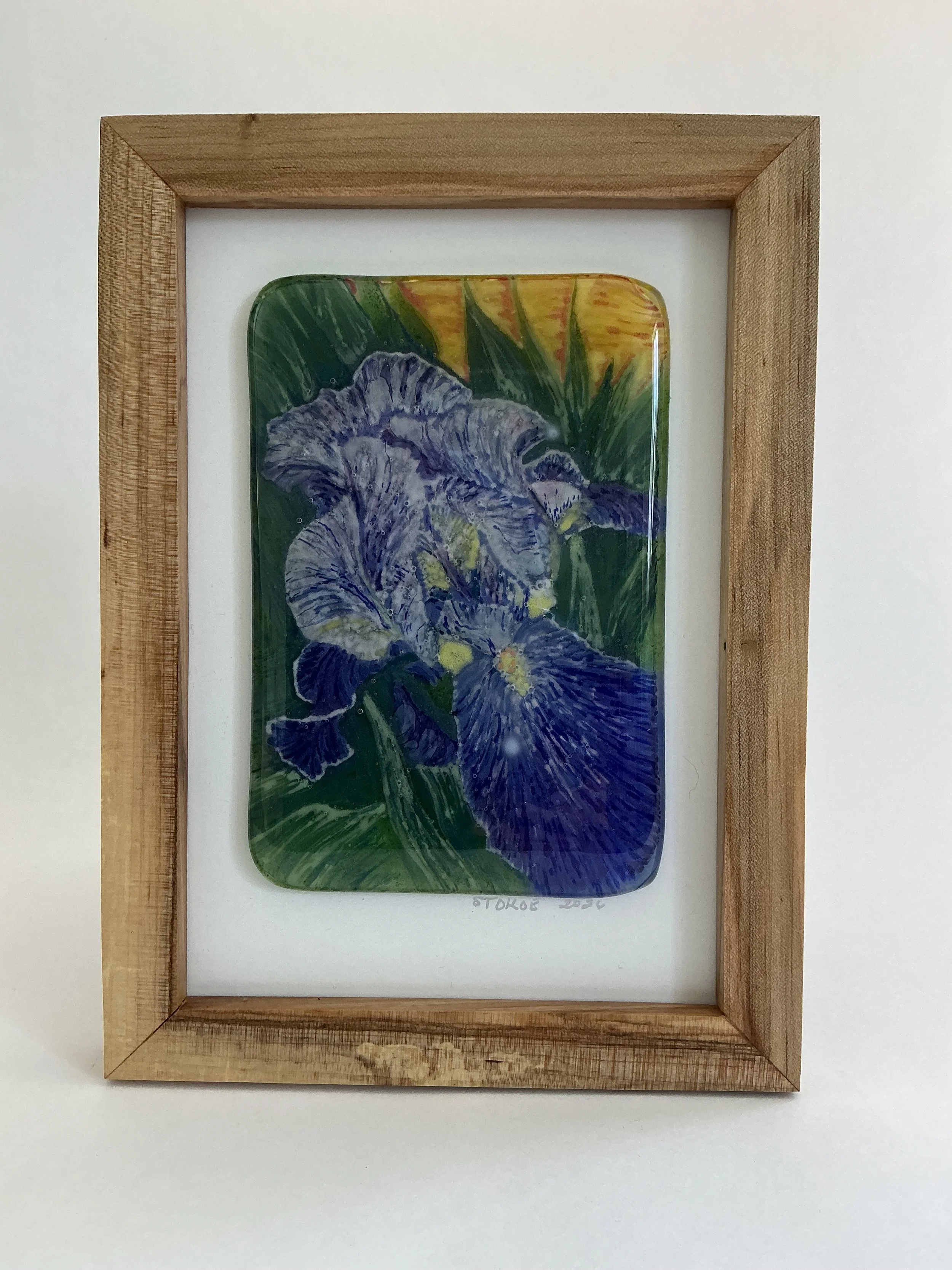 Framed painted iris