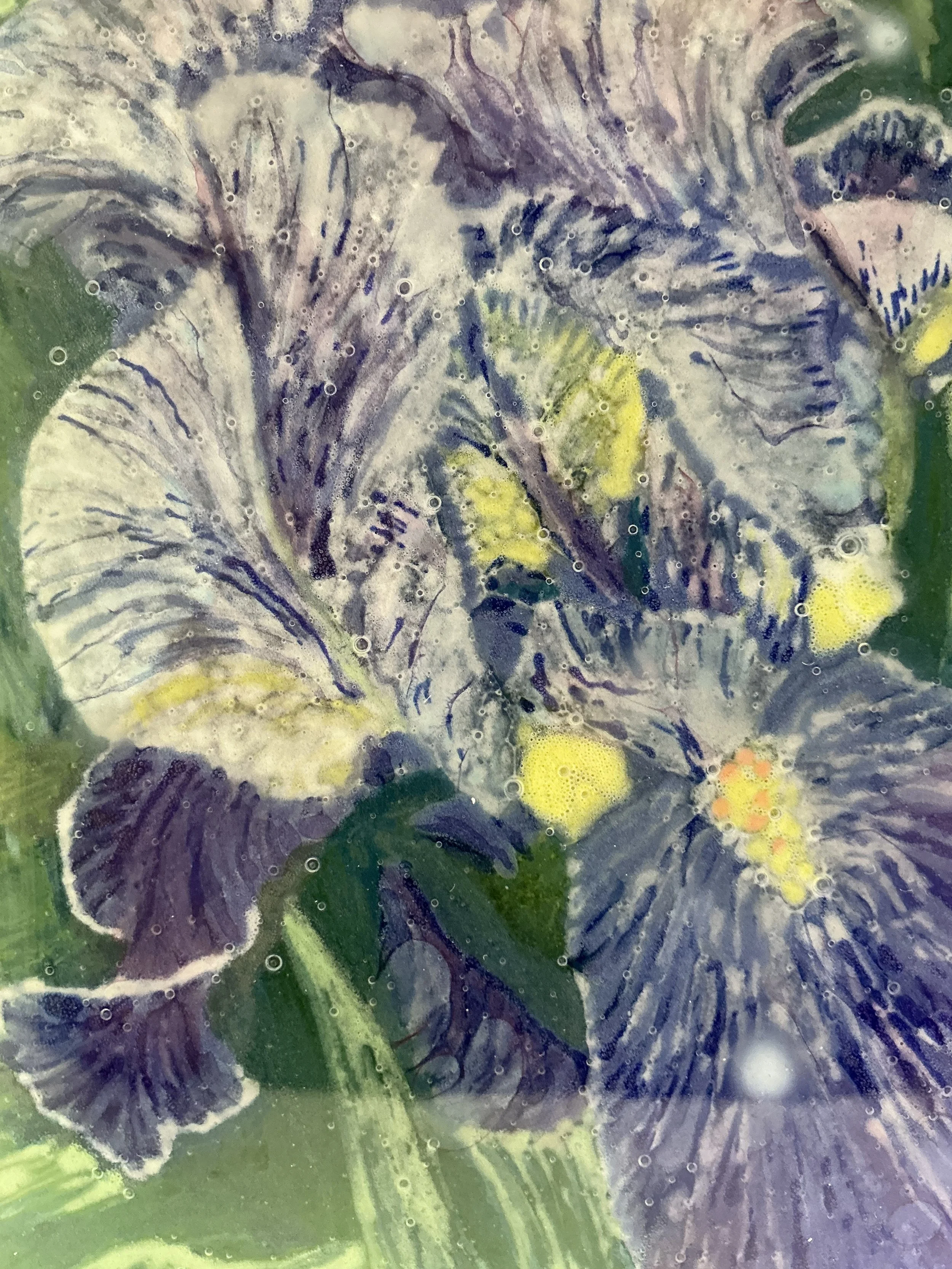 IMG_0500.jpeg
