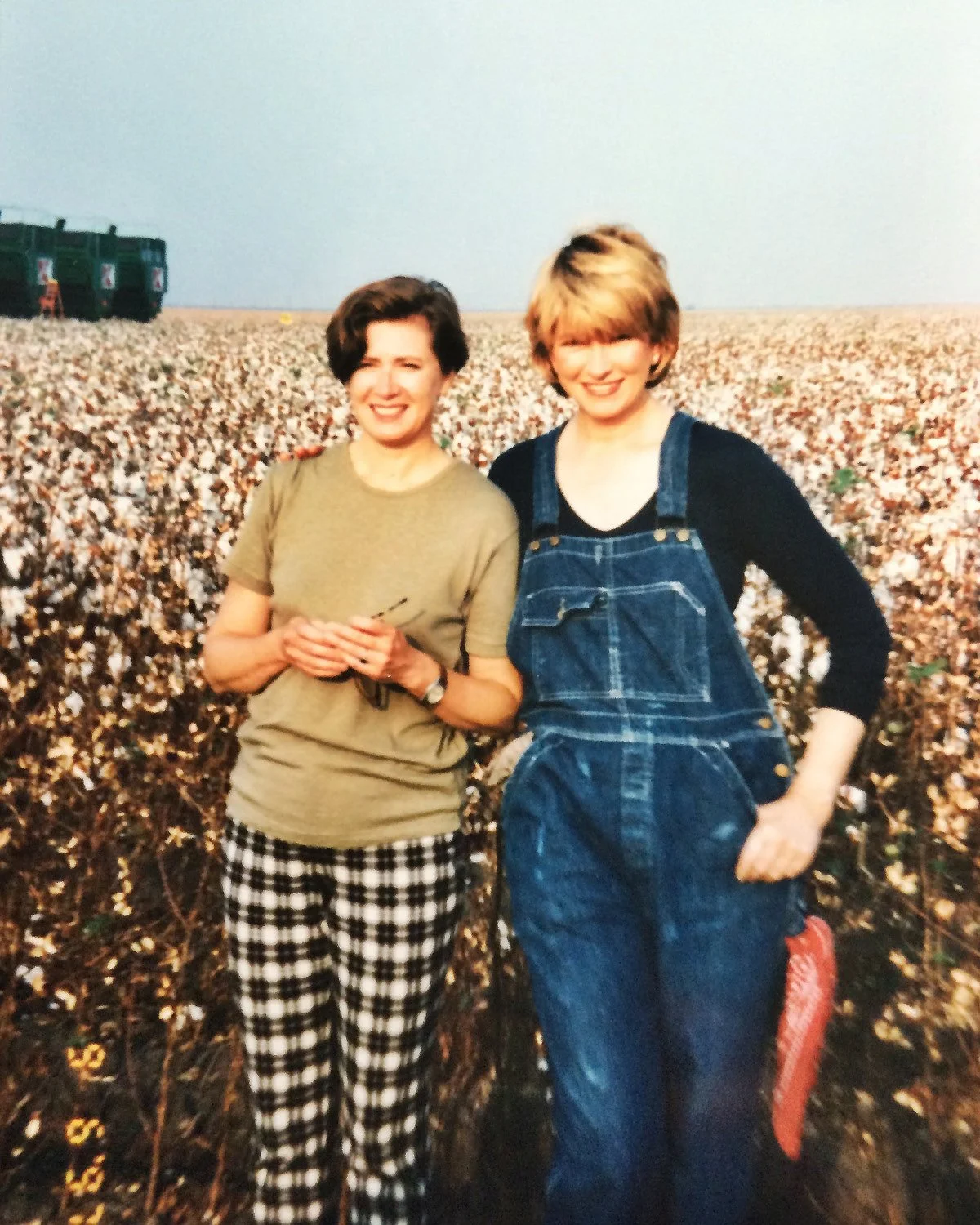 Gael Reel Images5.jpg