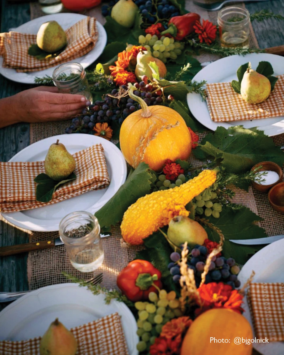 Elizabeth Reel Layout7.jpg