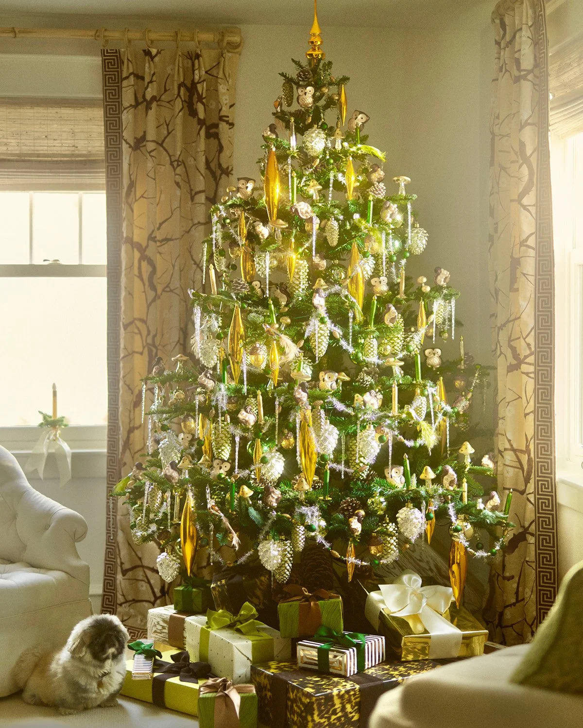 Eddie Reel Layout5.jpg