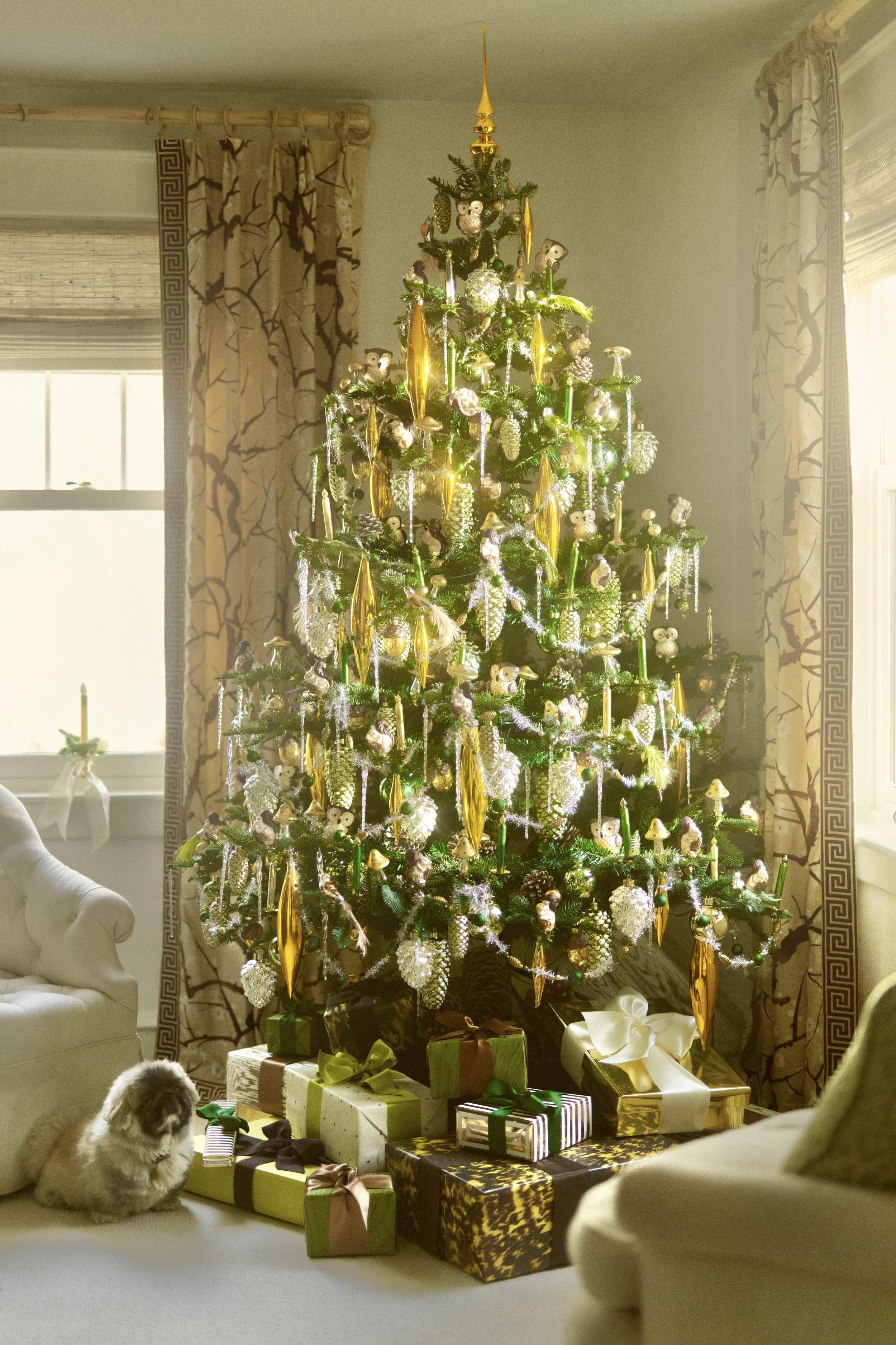 Podcast pictures-24.jpg