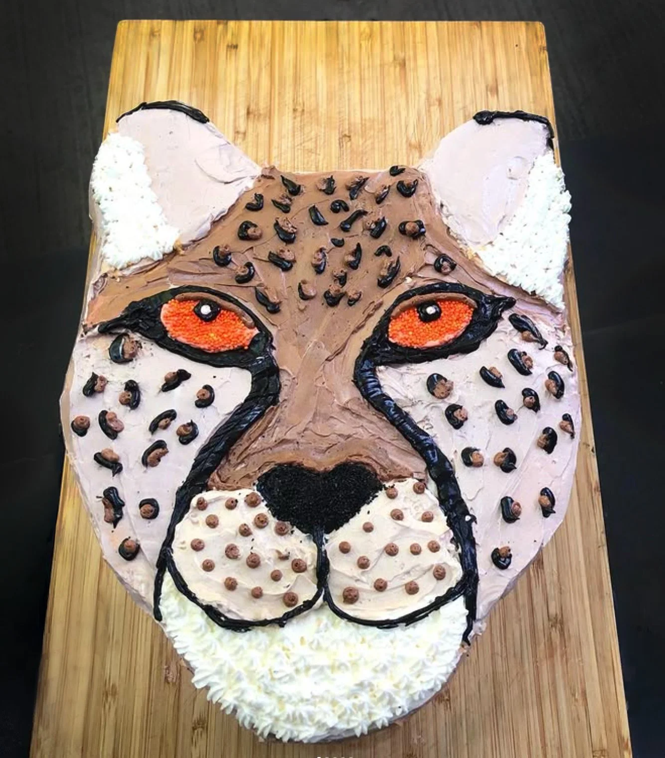 Cheetah.jpg