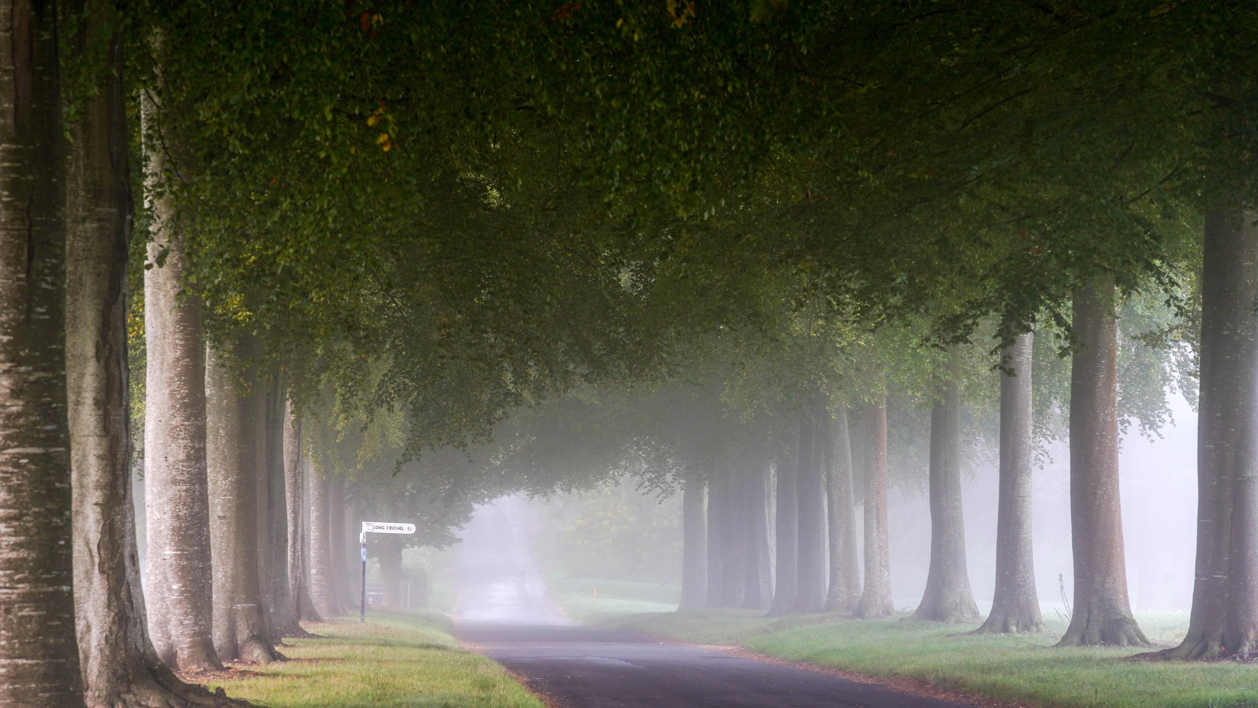 A quiet morning