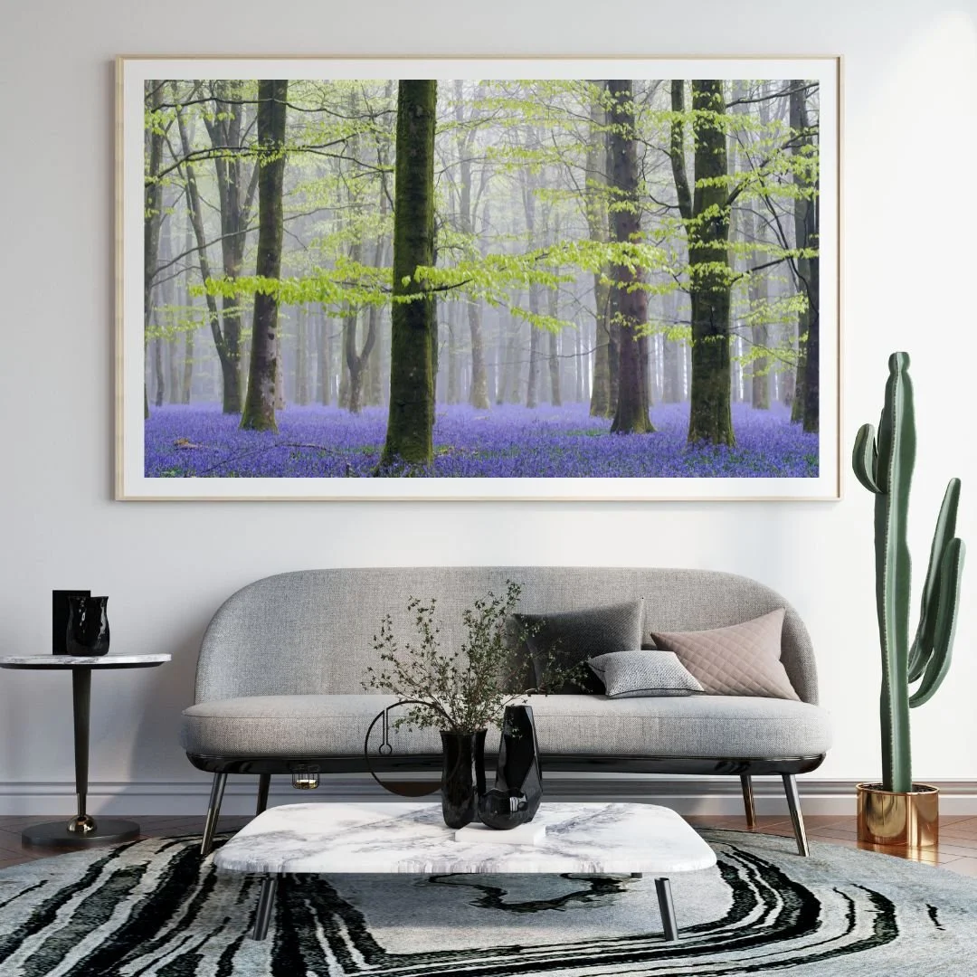 Untitled design (28).jpg