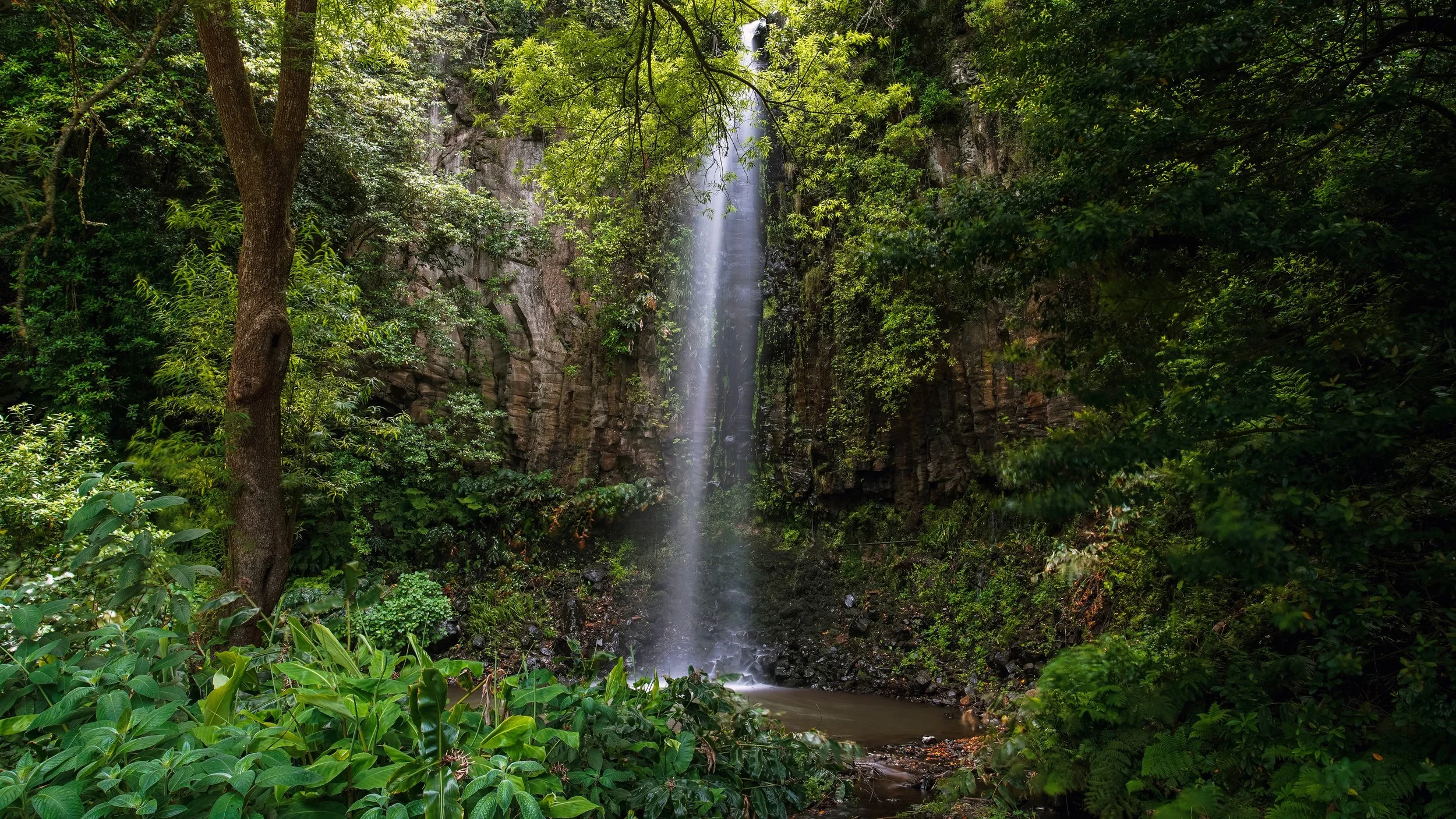 An amazing waterfall off the beaten path in Madeira