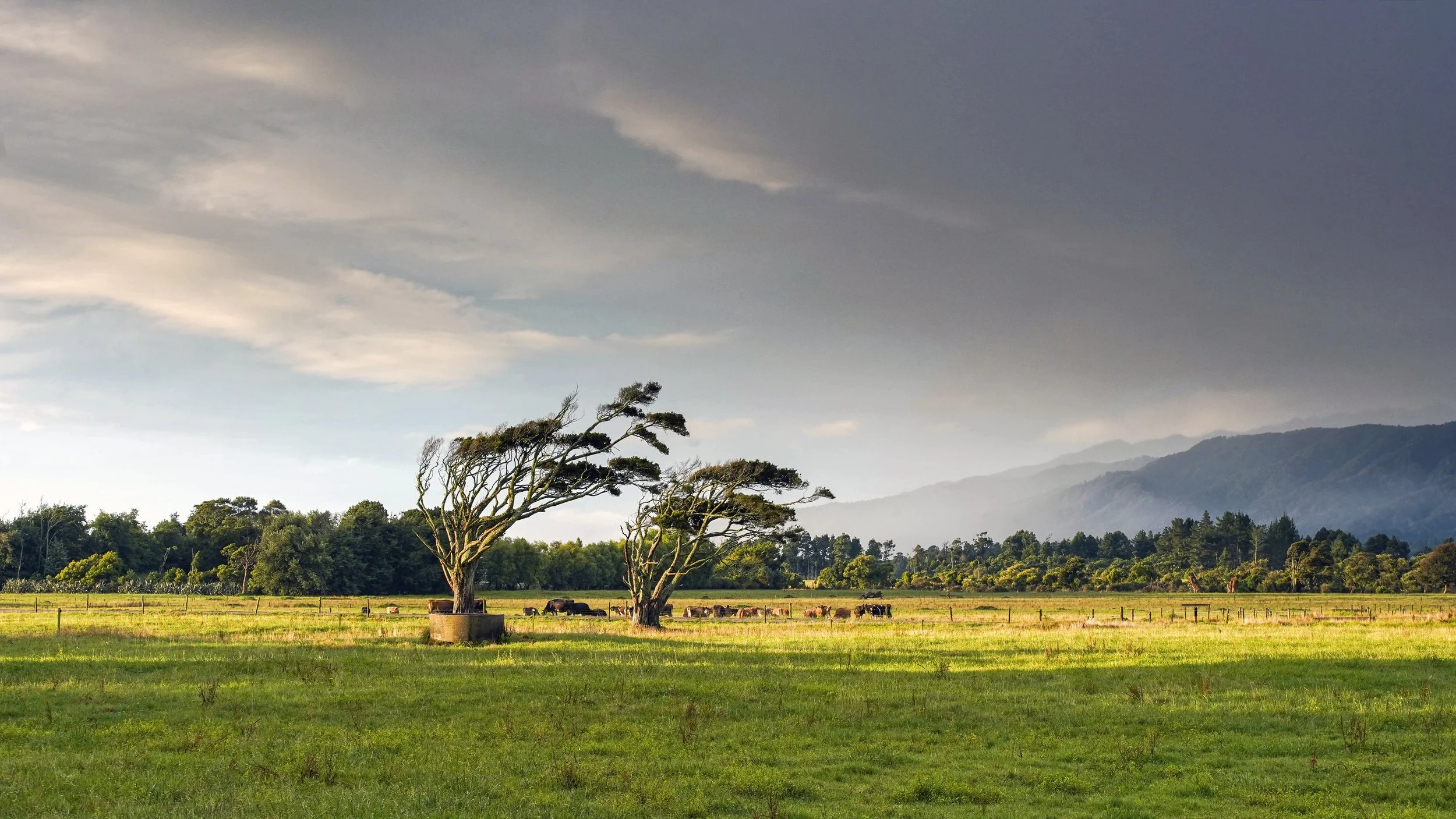 Rough landscape in Karamea, New Zealand west coast