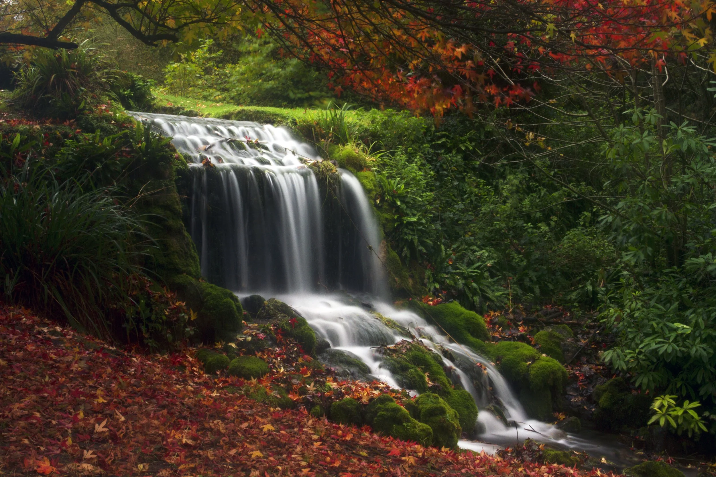 Autumn flow