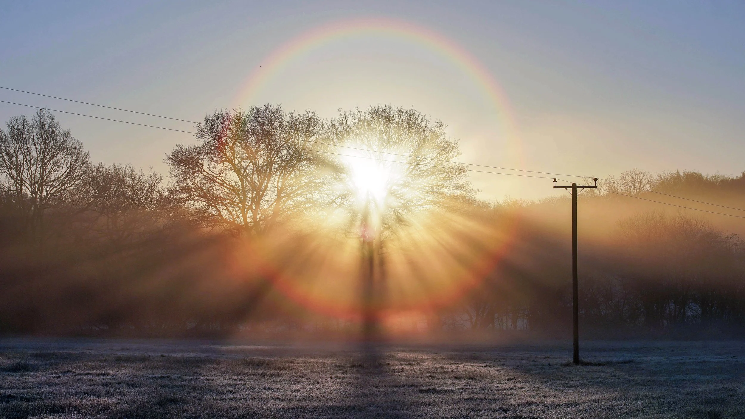 sun burst4 contrast.jpg