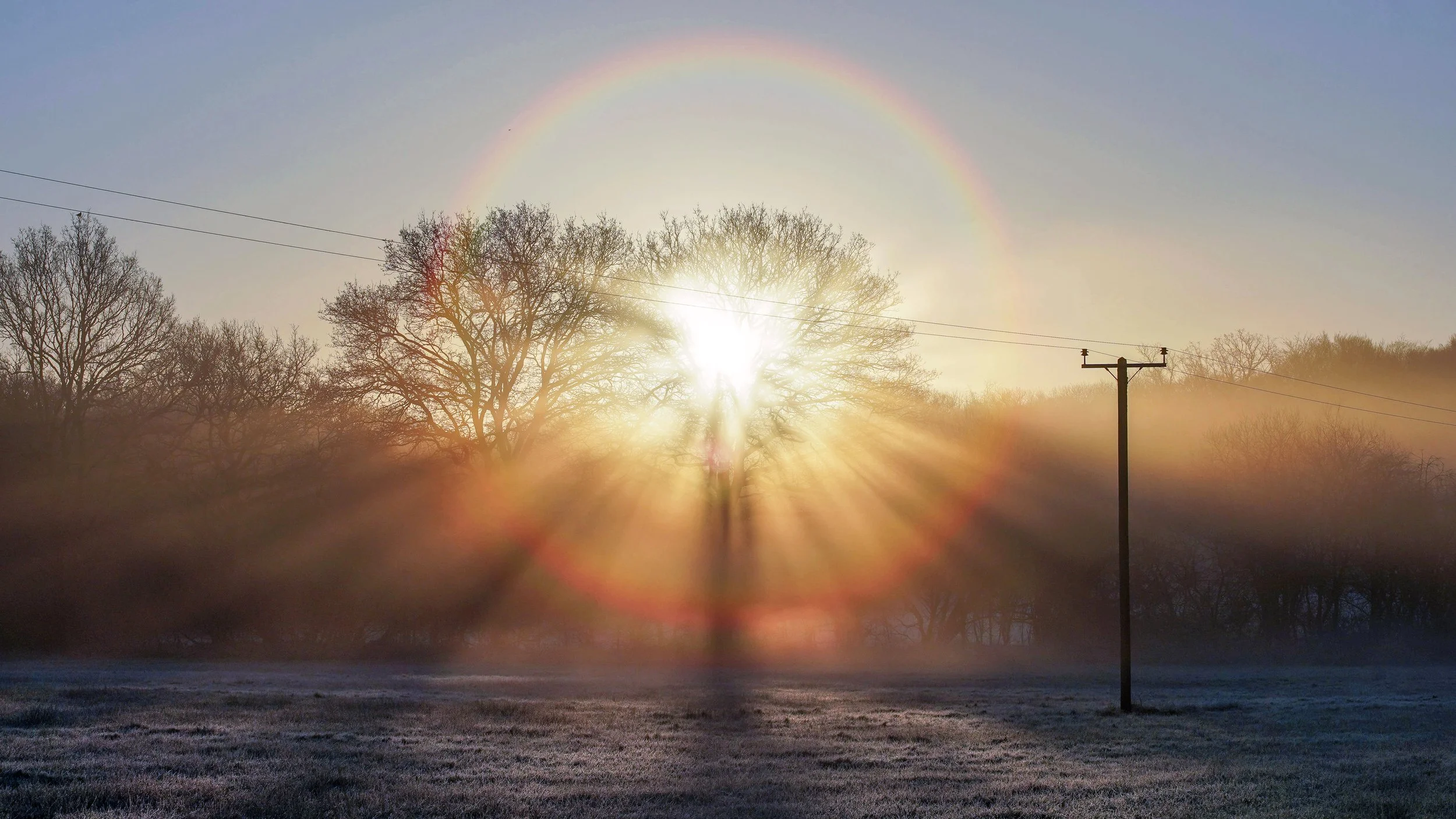 sun burst4 contrast.jpg