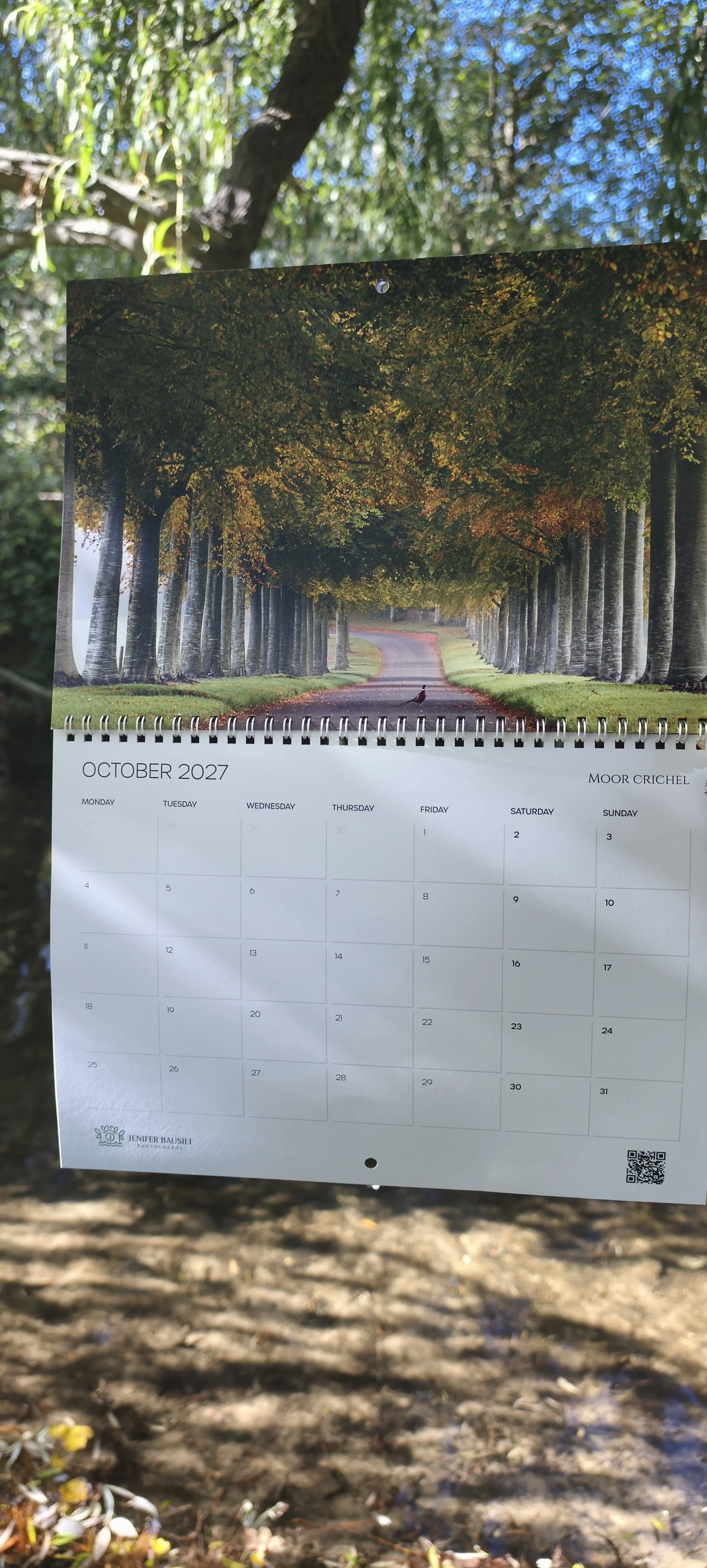 1000061536.jpg
