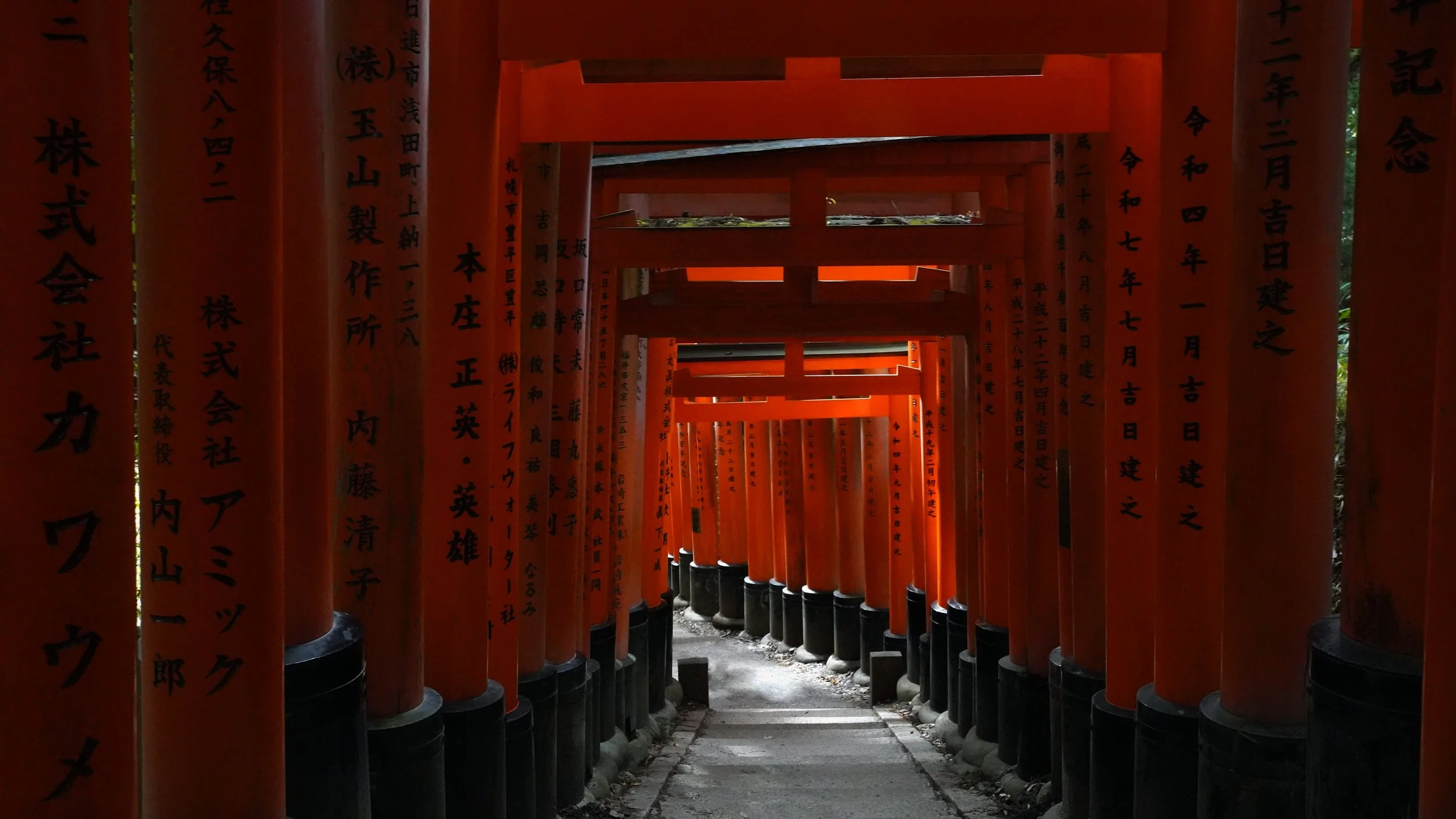 Fushimi inari toris