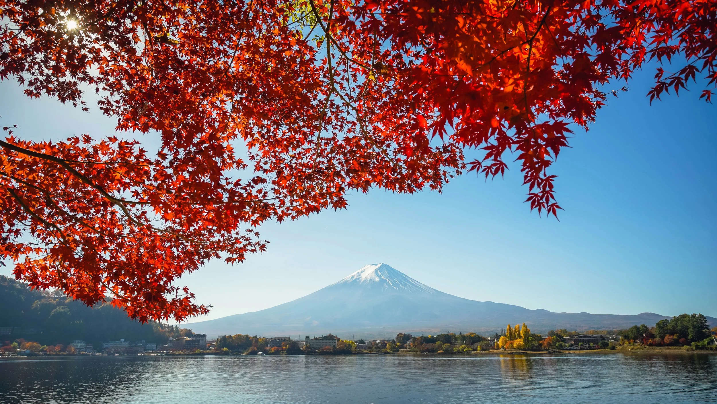 mount fuji3.jpg